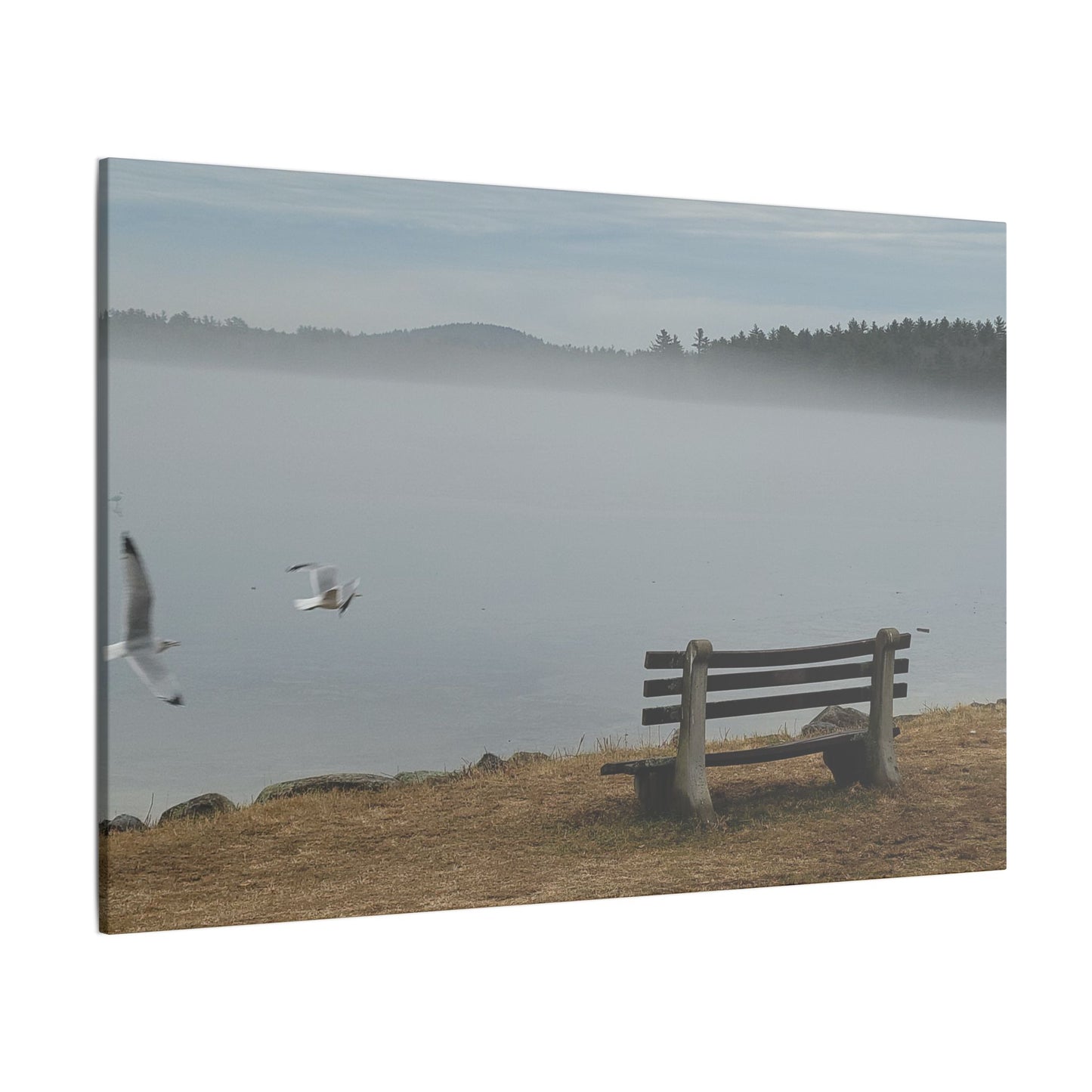 Canvas Print in Multiple Landscape Sizes from the Wildlife Series at Intriguing Vistas
