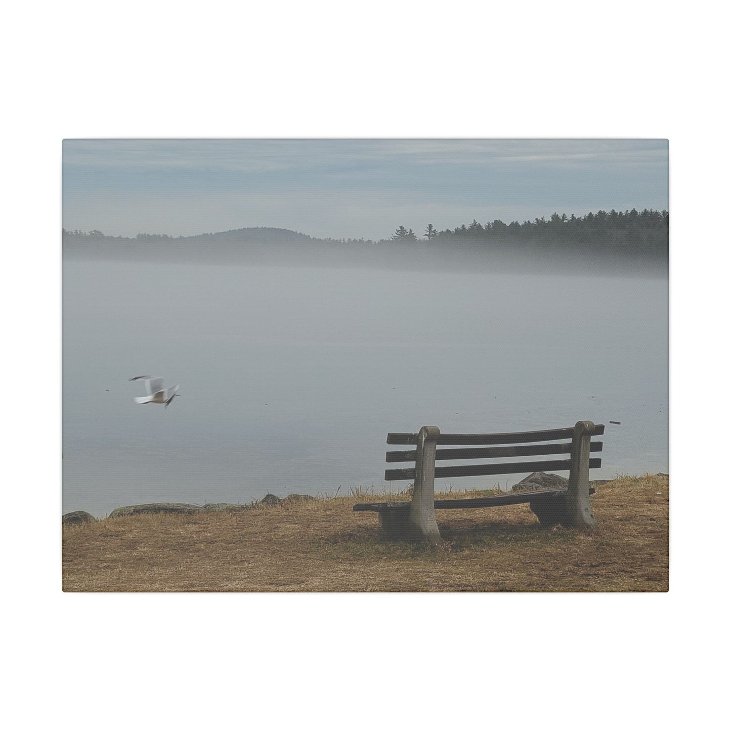 Canvas Print in Multiple Landscape Sizes from the Wildlife Series at Intriguing Vistas
