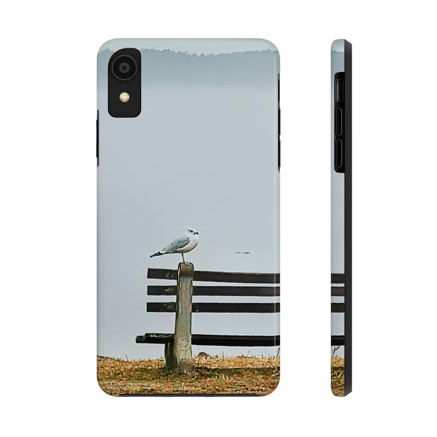 Custom Tough Phone Case for iPhone & Samsung From The Scenery Series at Intriguing Vistas