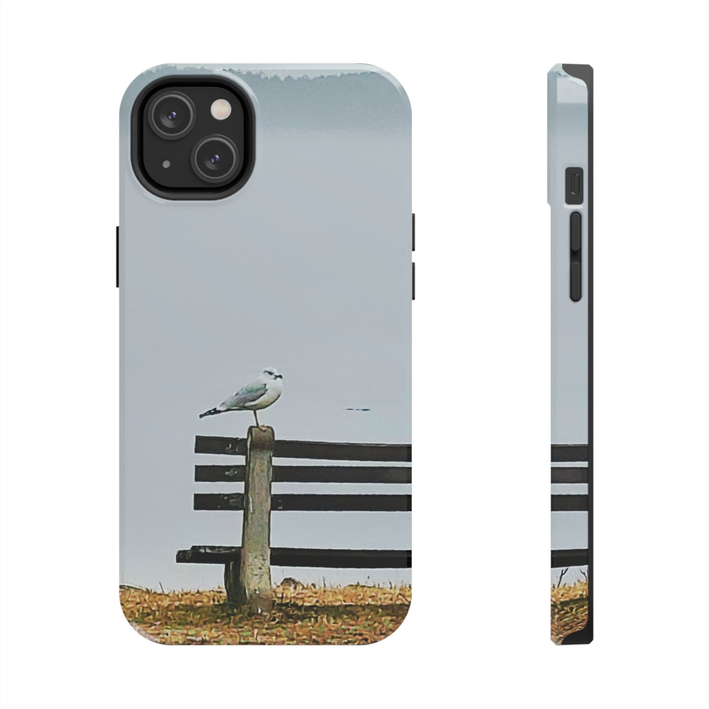 Custom Tough Phone Case for iPhone & Samsung From The Scenery Series at Intriguing Vistas