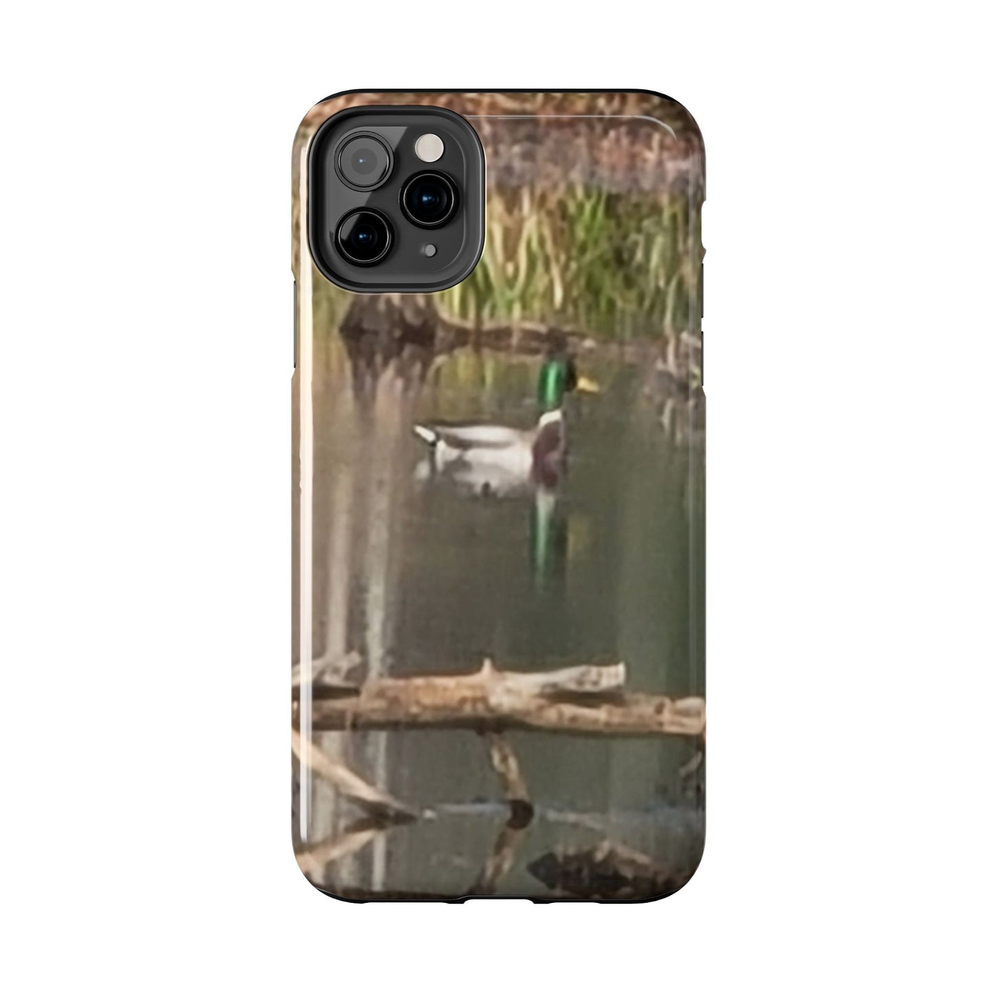 Custom Tough Phone Case for iPhone & Samsung From The Wildlife Series at Intriguing Vistas