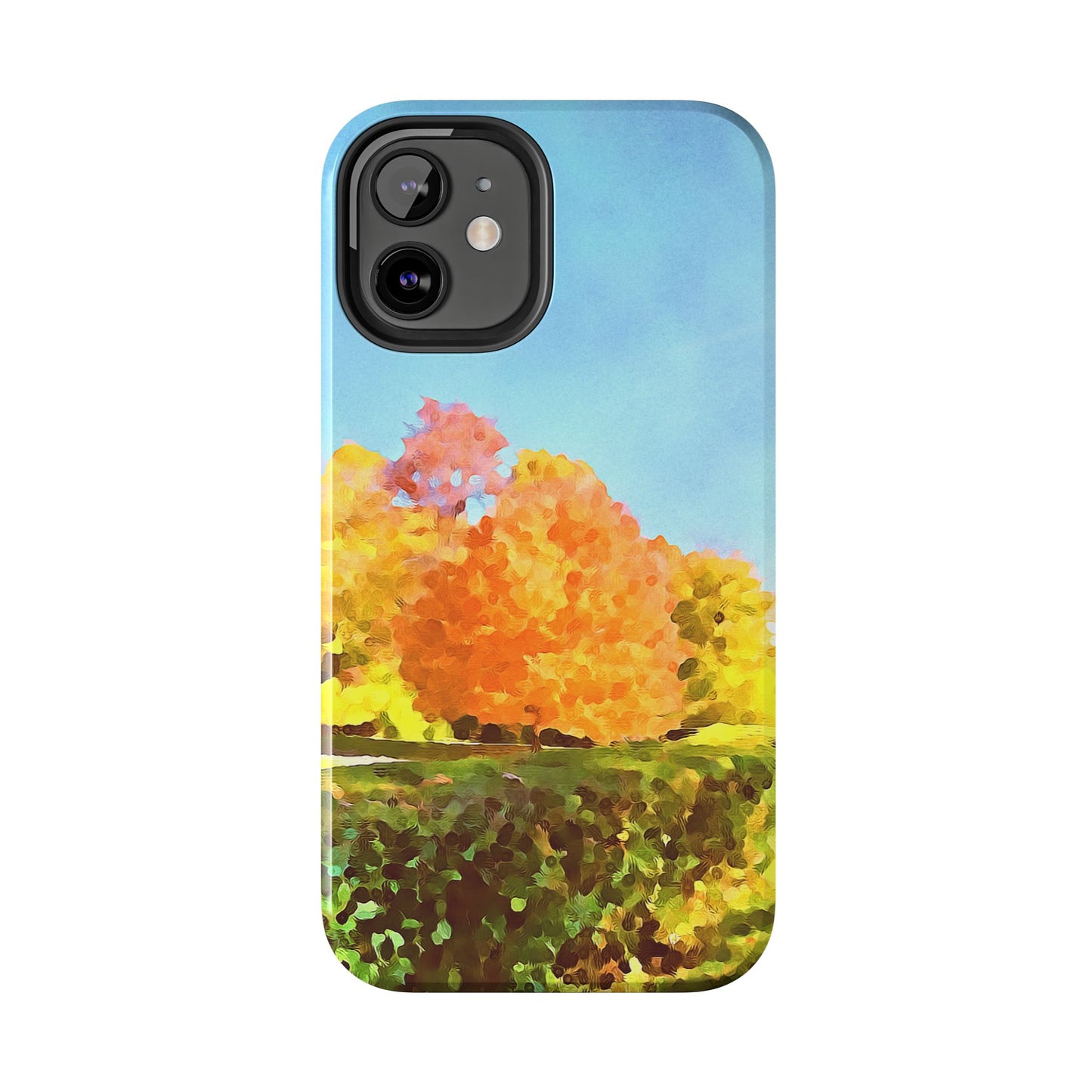 Custom Tough Phone Case for iPhone & Samsung From The Scenery Series at Intriguing Vistas