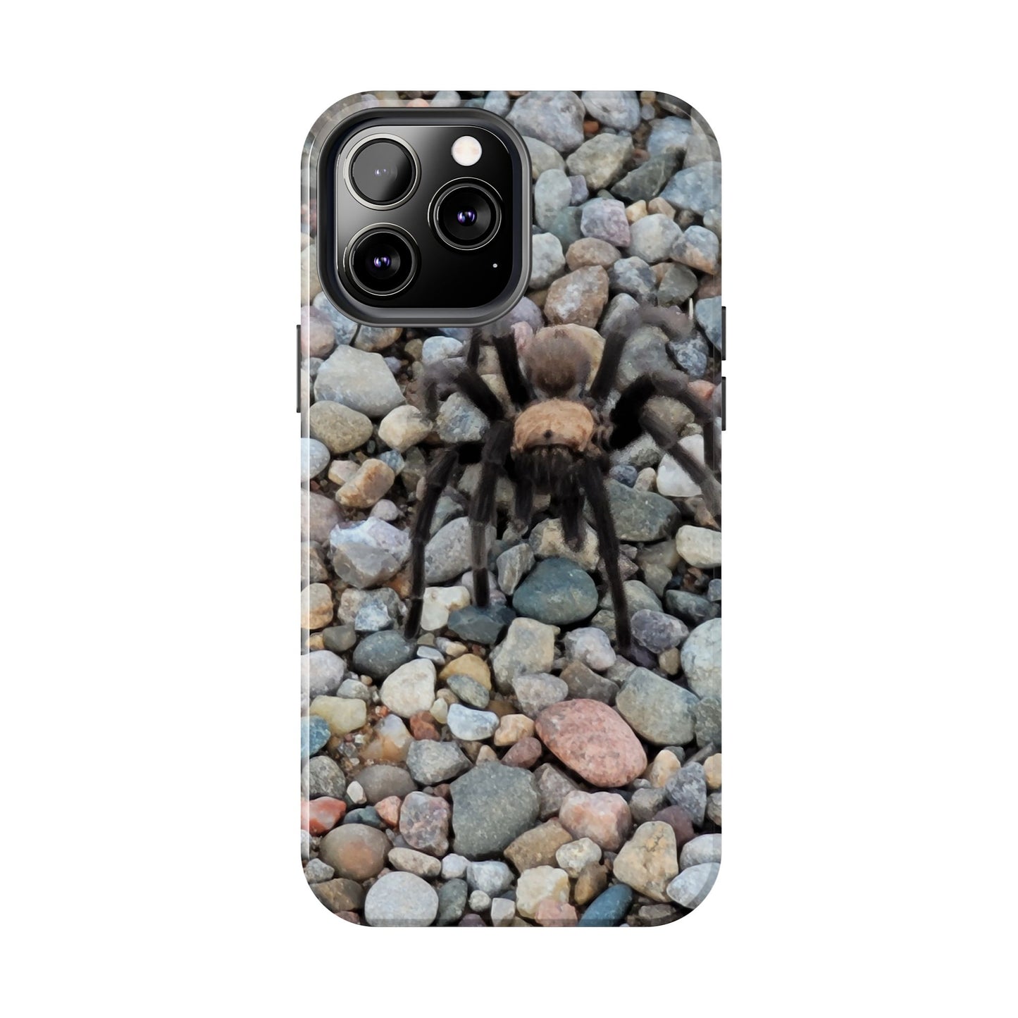 Custom Tough Phone Case for iPhone & Samsung From The Wildlife Series at Intriguing Vistas