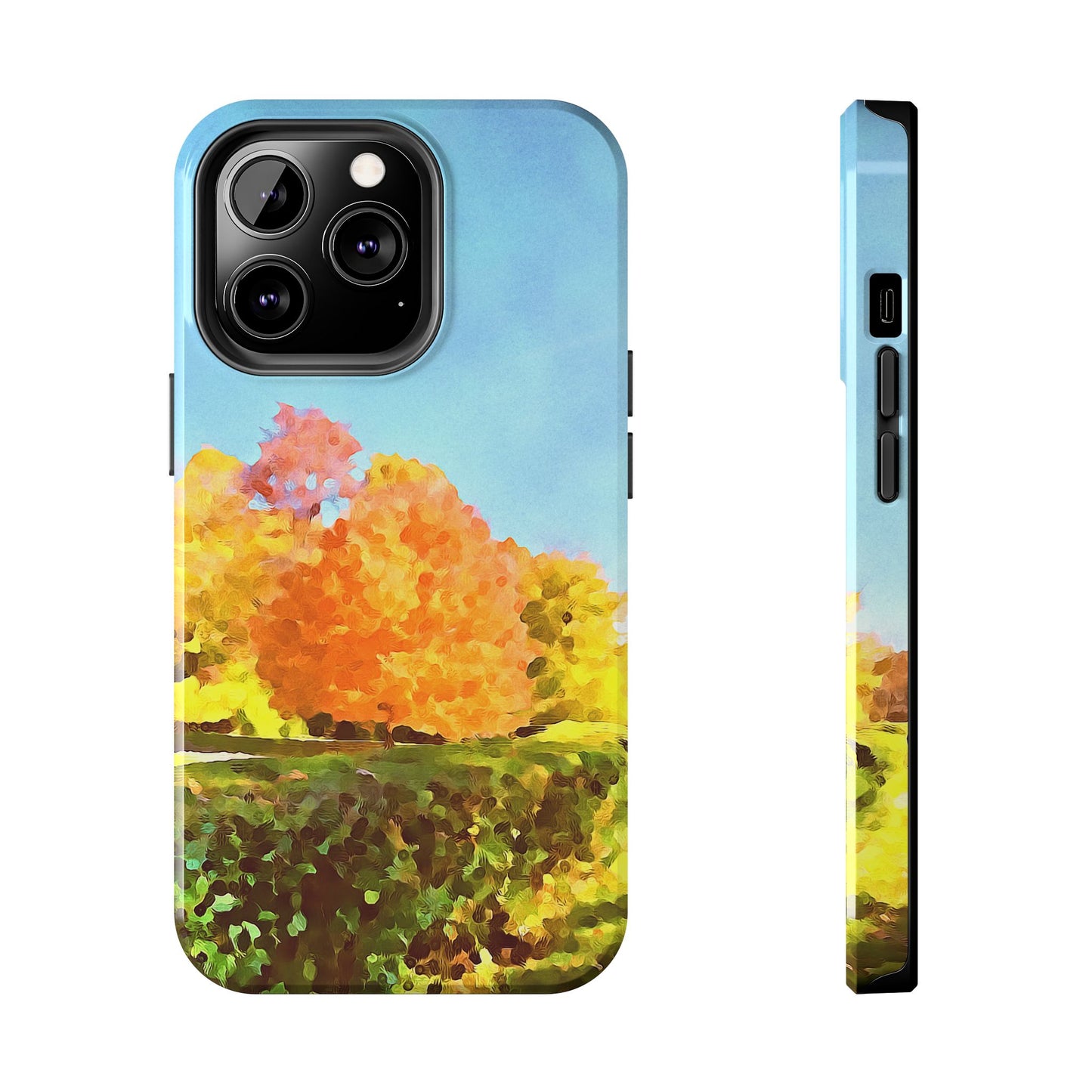 Custom Tough Phone Case for iPhone & Samsung From The Scenery Series at Intriguing Vistas