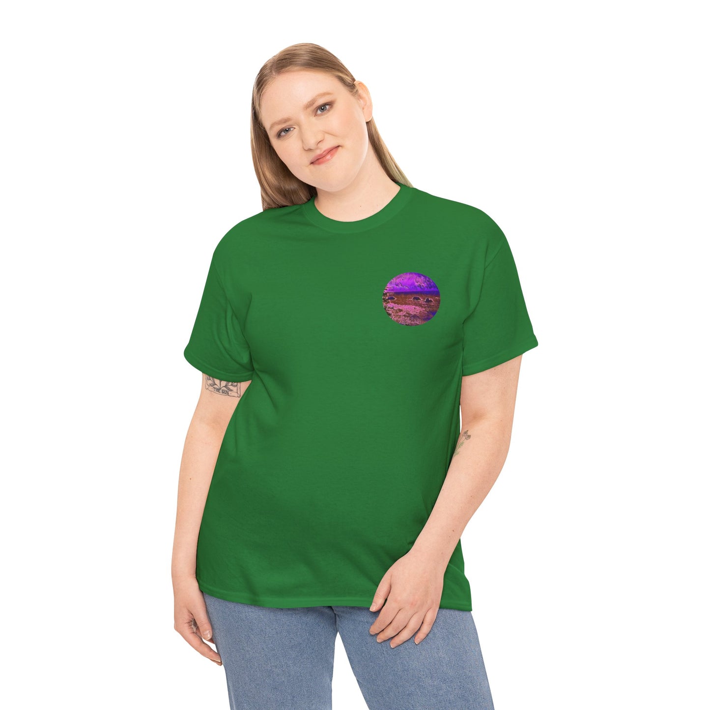 Gildan 5000 Unisex Adult Heavy Cotton Tee Available In Multiple Colors from the Scenery Series at Intriguing Vistas