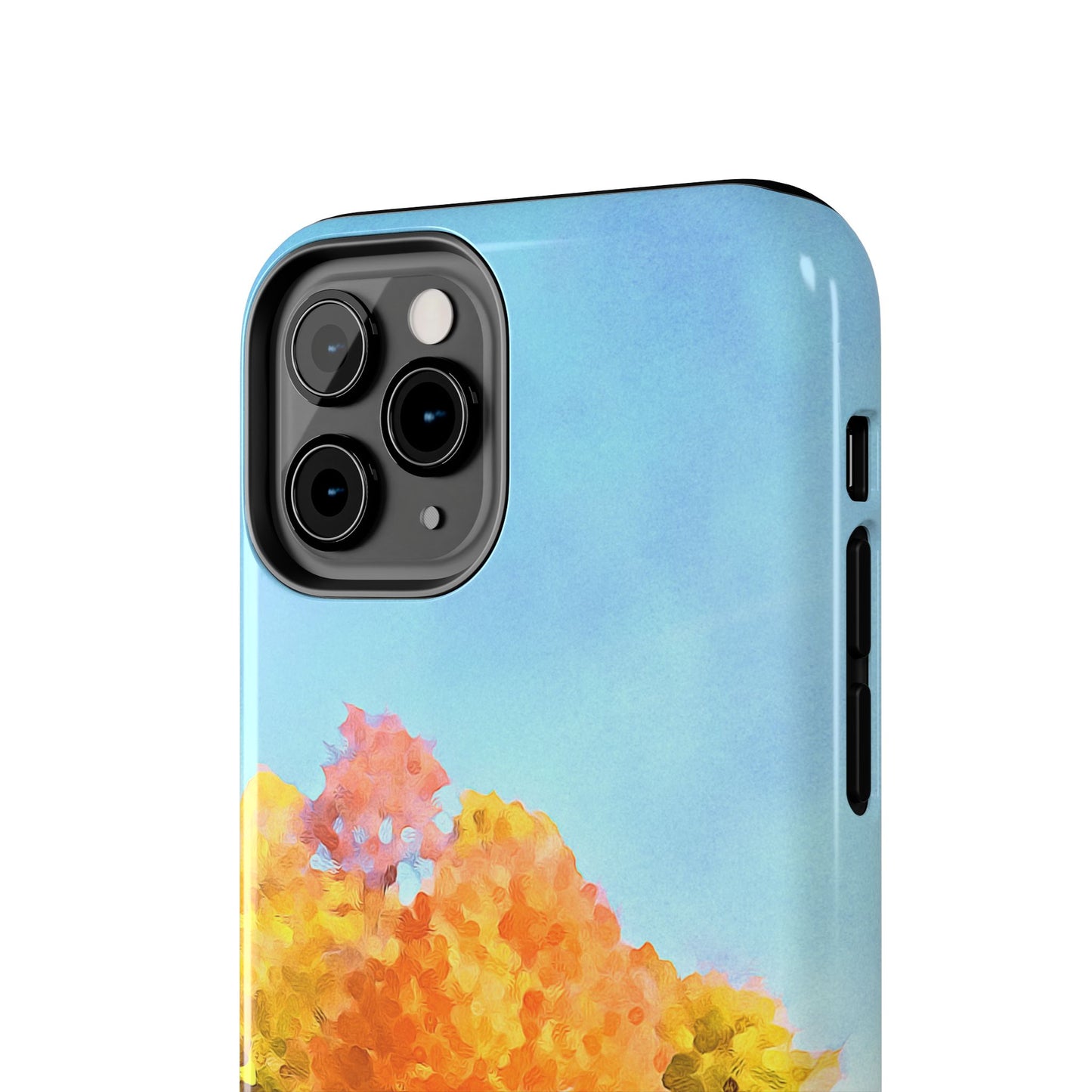 Custom Tough Phone Case for iPhone & Samsung From The Scenery Series at Intriguing Vistas