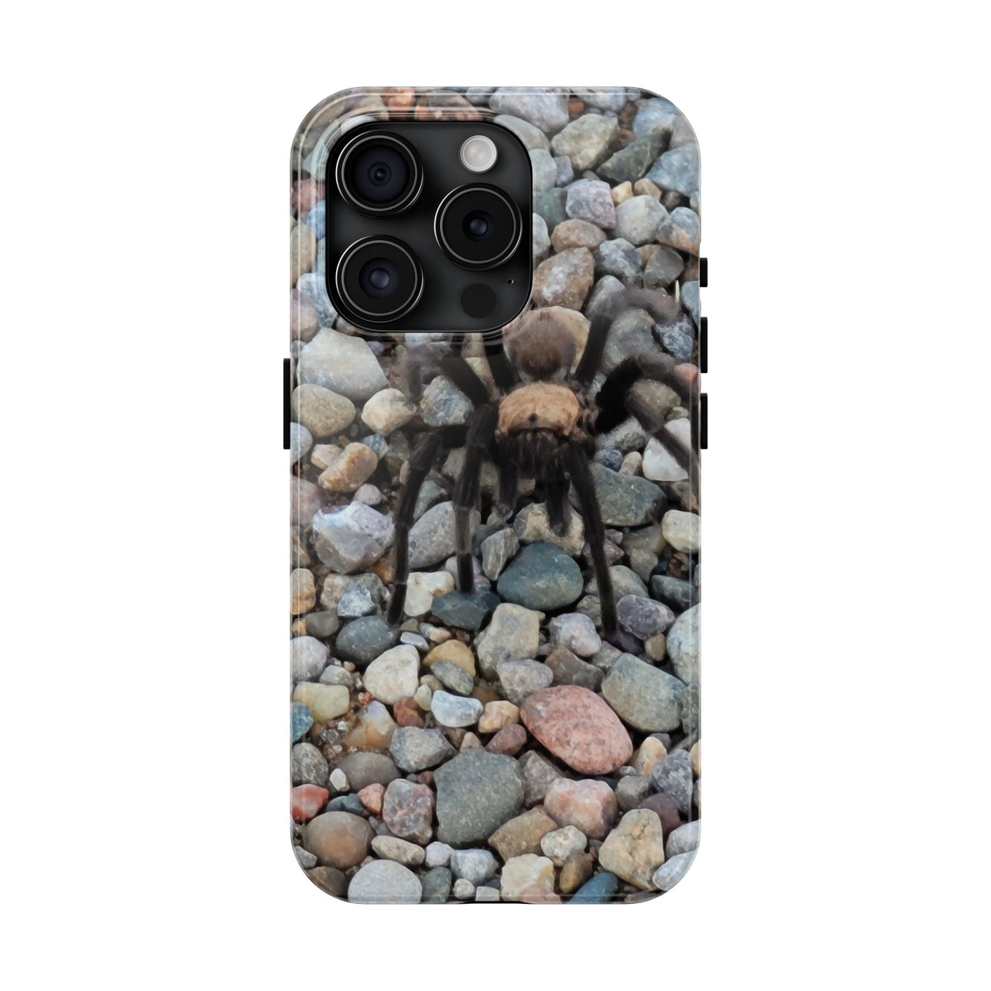Custom Tough Phone Case for iPhone & Samsung From The Wildlife Series at Intriguing Vistas