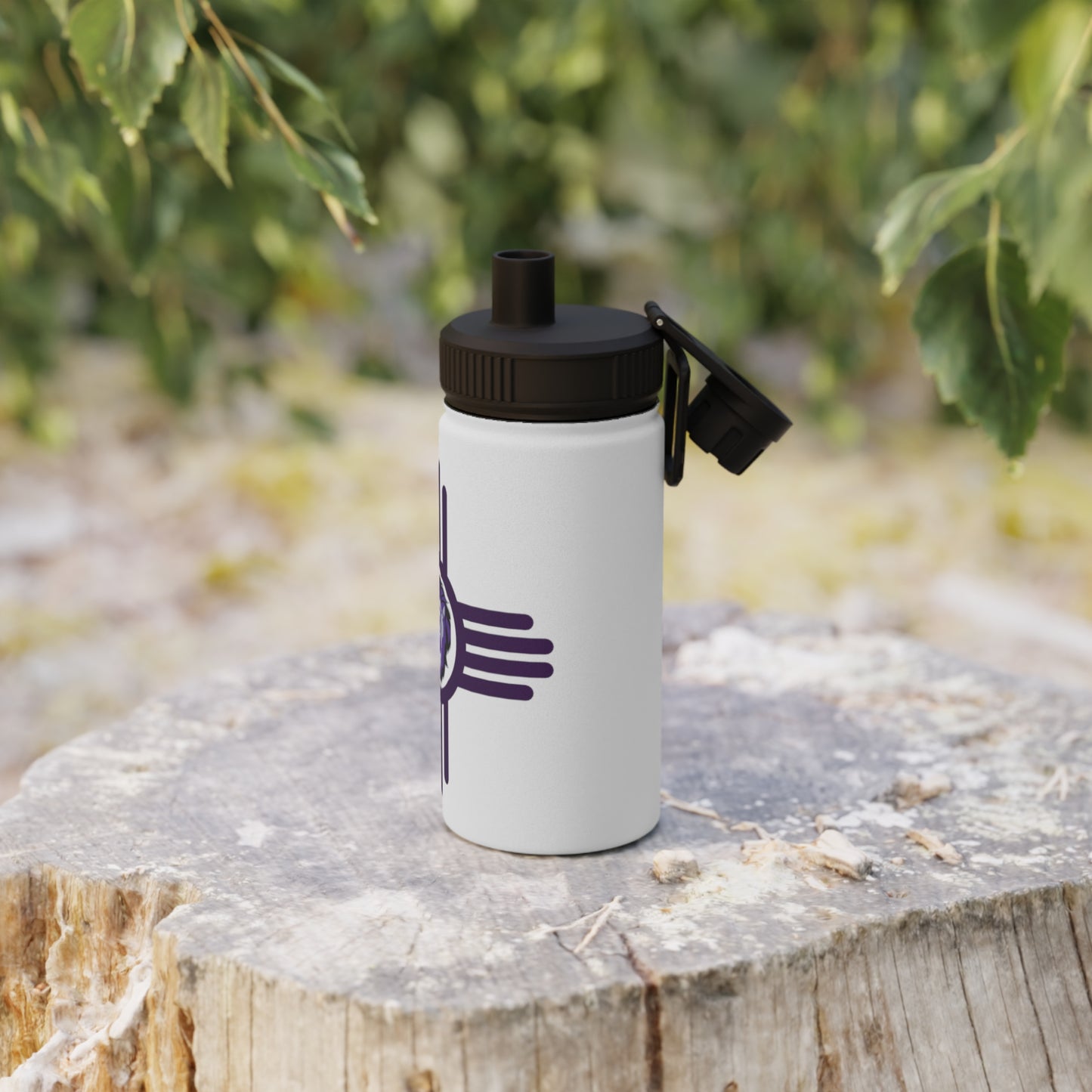 Santa Rosa Stainless Steel Water Bottle, Sports Lid
