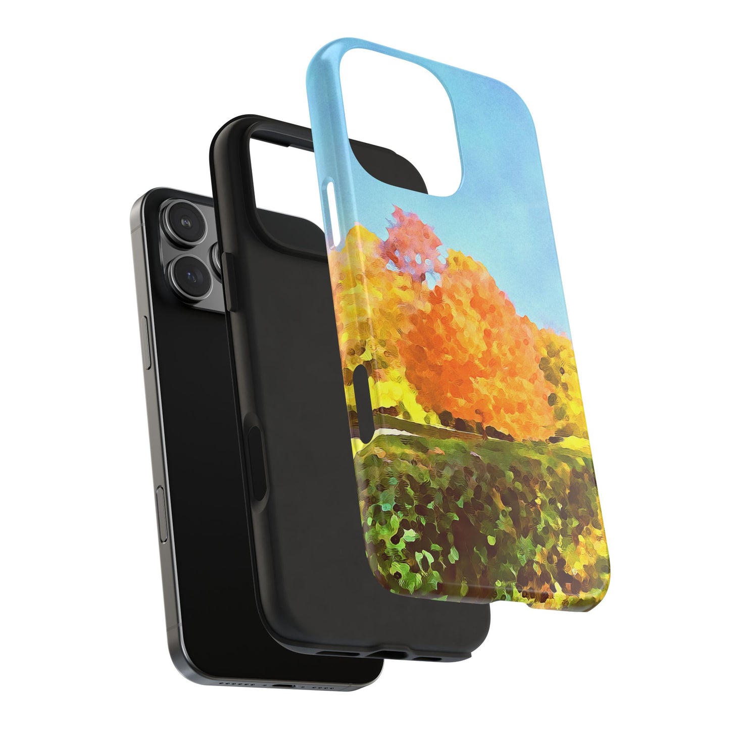 Custom Tough Phone Case for iPhone & Samsung From The Scenery Series at Intriguing Vistas