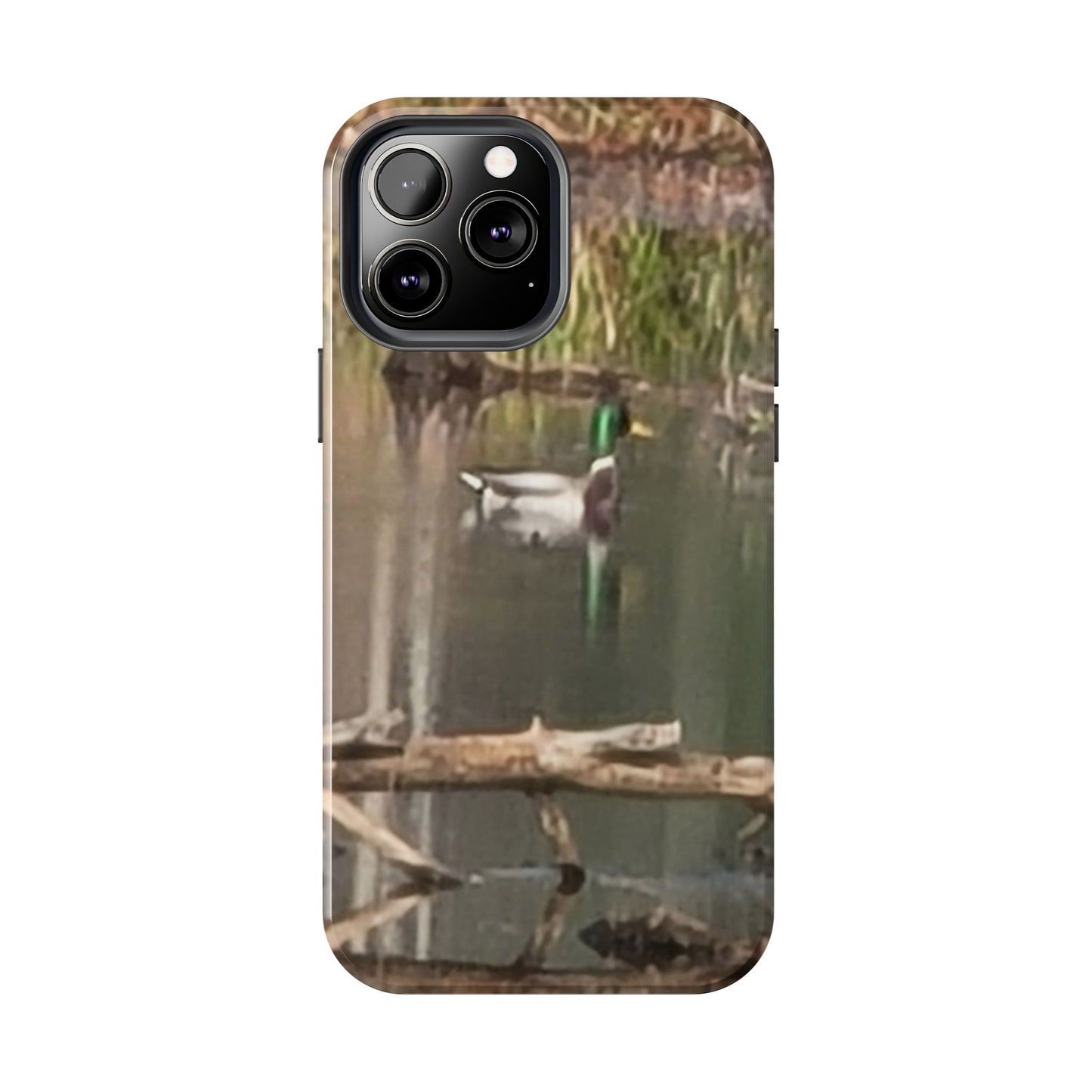 Custom Tough Phone Case for iPhone & Samsung From The Wildlife Series at Intriguing Vistas