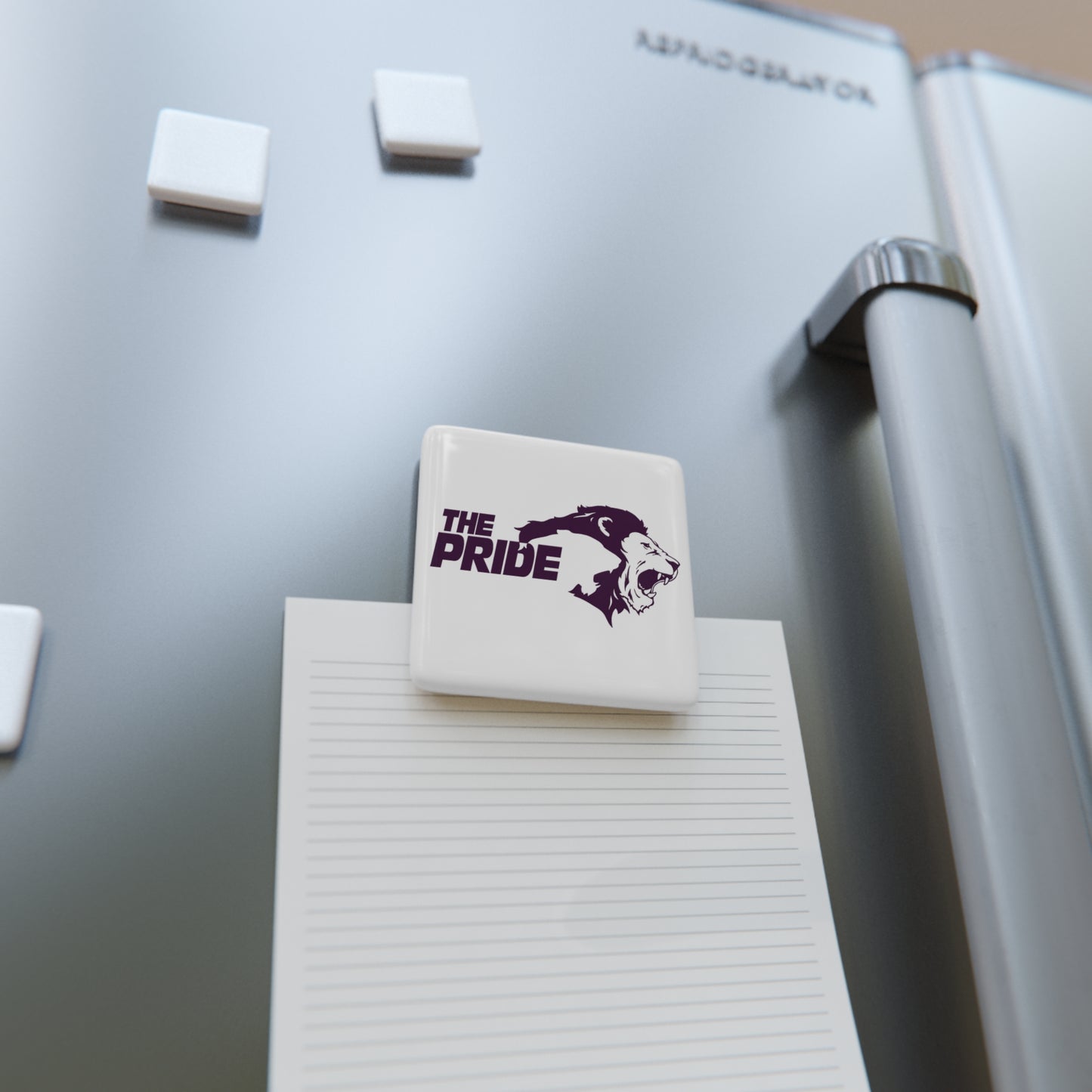 Santa Rosa Porcelain Magnet, Square - Intriguing Vistas