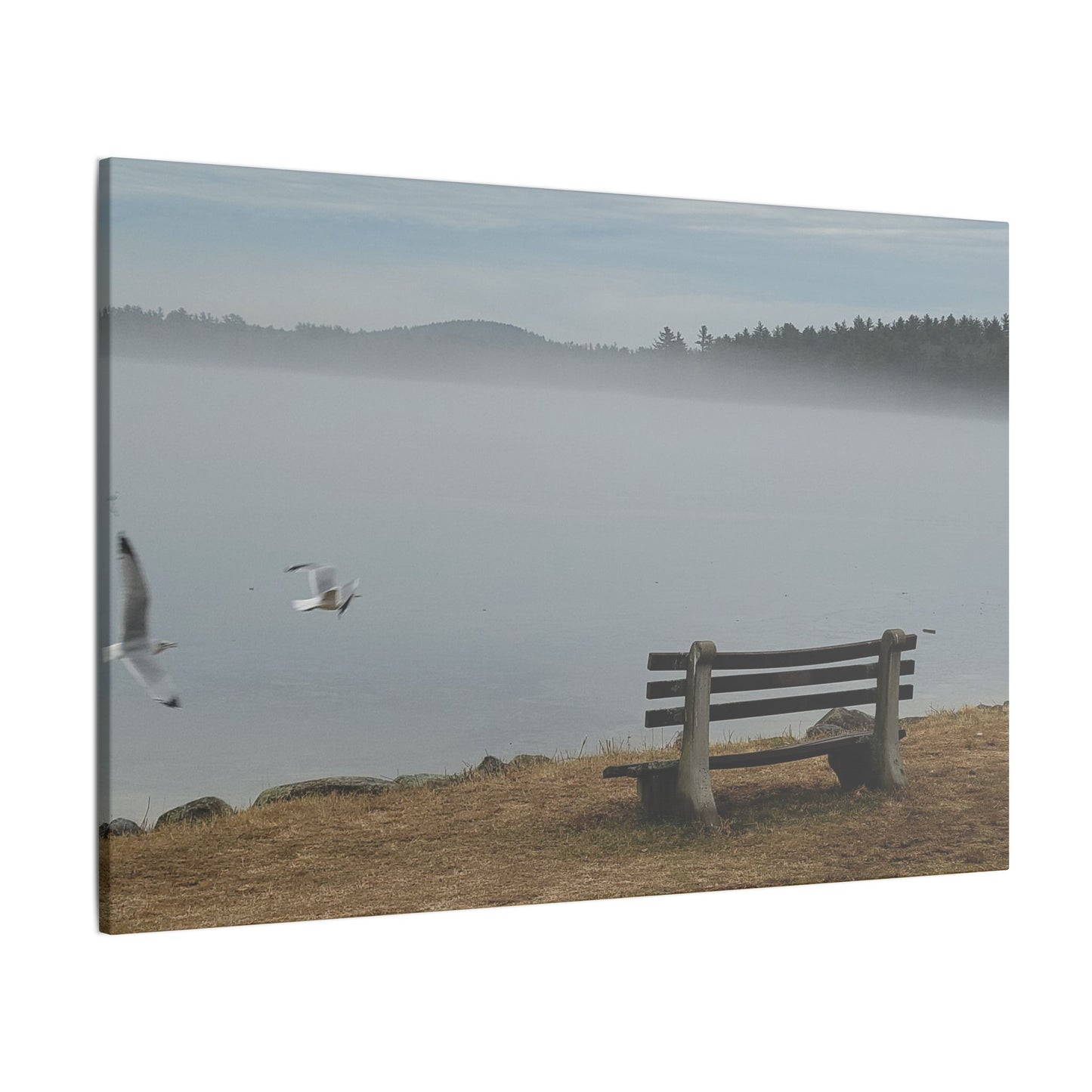 Canvas Print in Multiple Landscape Sizes from the Wildlife Series at Intriguing Vistas