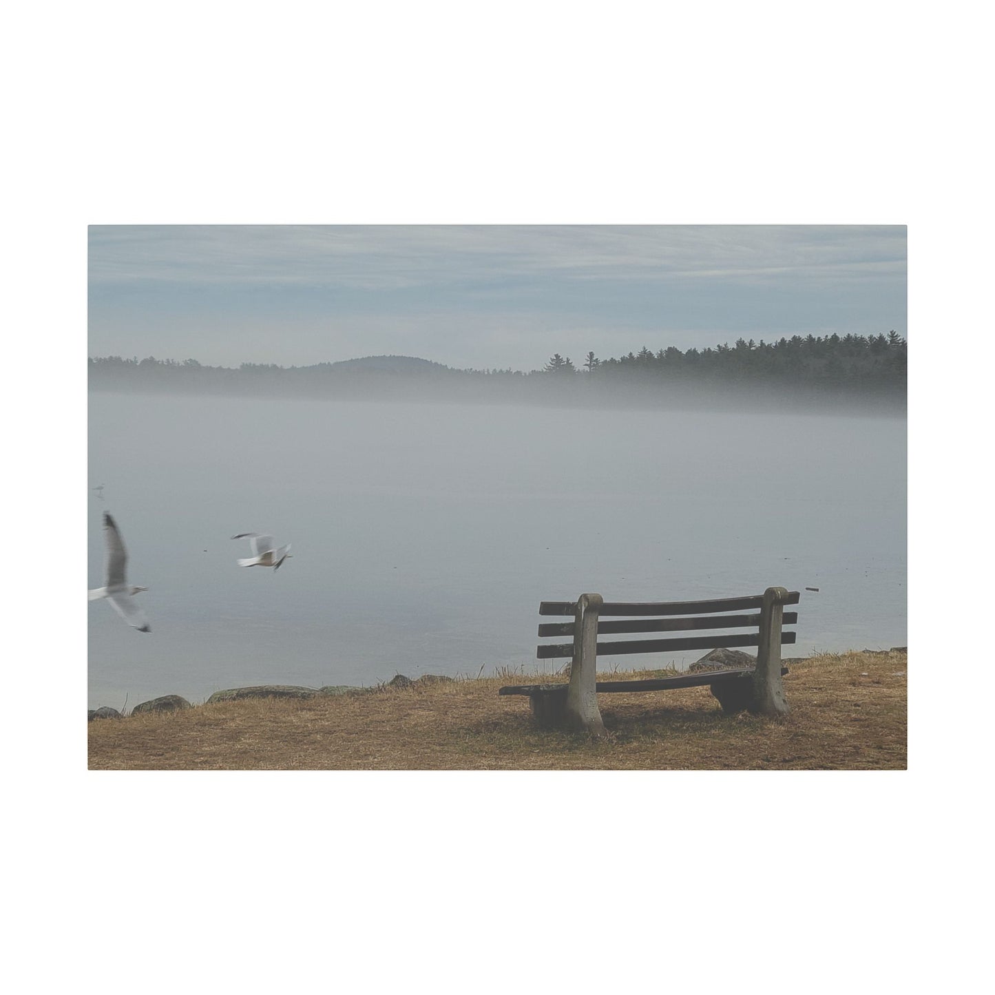 Canvas Print in Multiple Landscape Sizes from the Wildlife Series at Intriguing Vistas