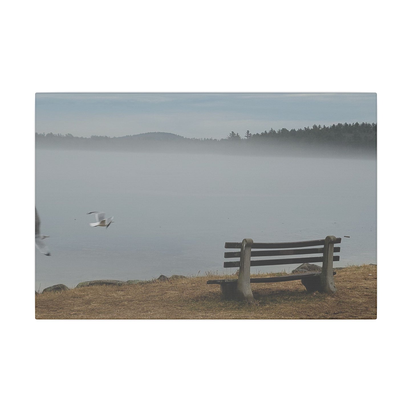 Canvas Print in Multiple Landscape Sizes from the Wildlife Series at Intriguing Vistas