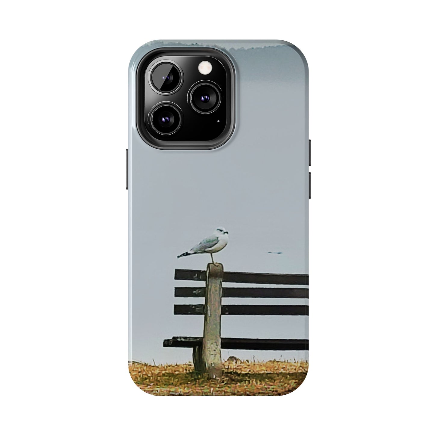 Custom Tough Phone Case for iPhone & Samsung From The Scenery Series at Intriguing Vistas