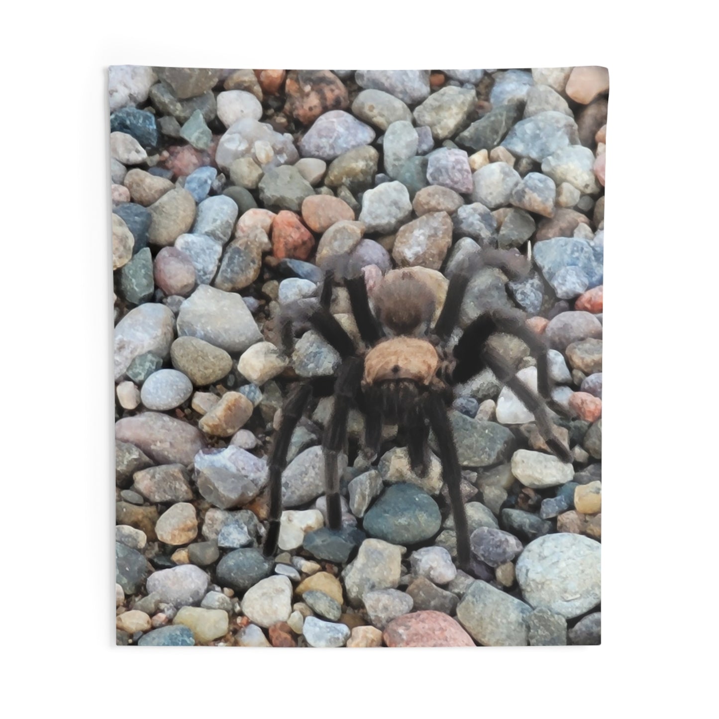 Custom Printed Wall Tapestry Available In Multiple Sizes From The Wildlife Series At Intriguing Vistas