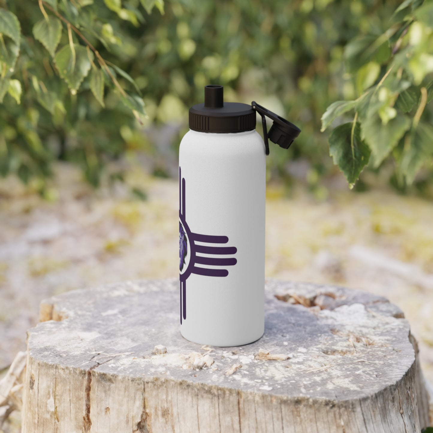 Santa Rosa Stainless Steel Water Bottle, Sports Lid