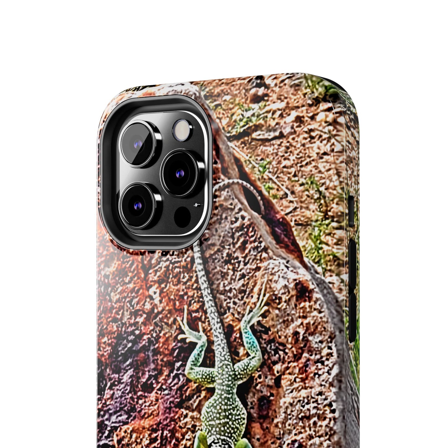 Custom Tough Phone Case for iPhone & Samsung From The Wildlife Series at Intriguing Vistas