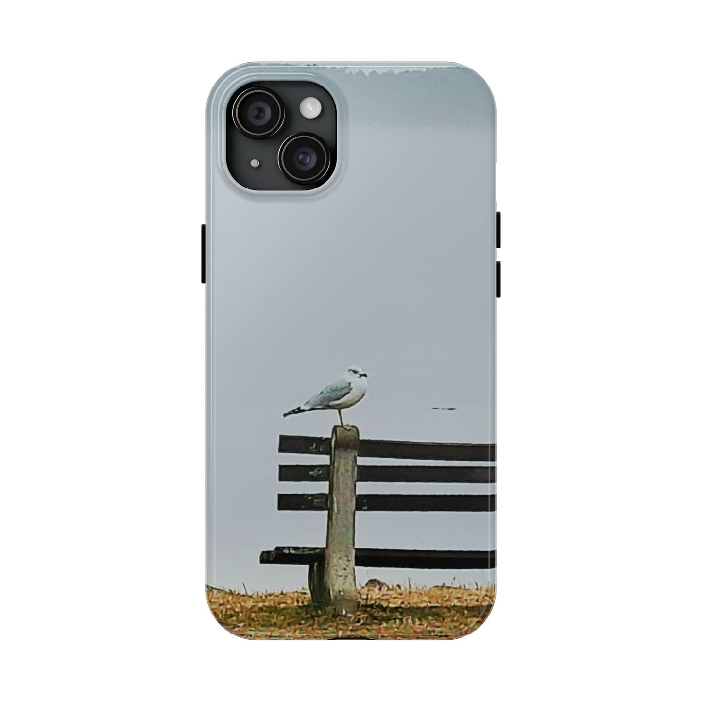 Custom Tough Phone Case for iPhone & Samsung From The Scenery Series at Intriguing Vistas
