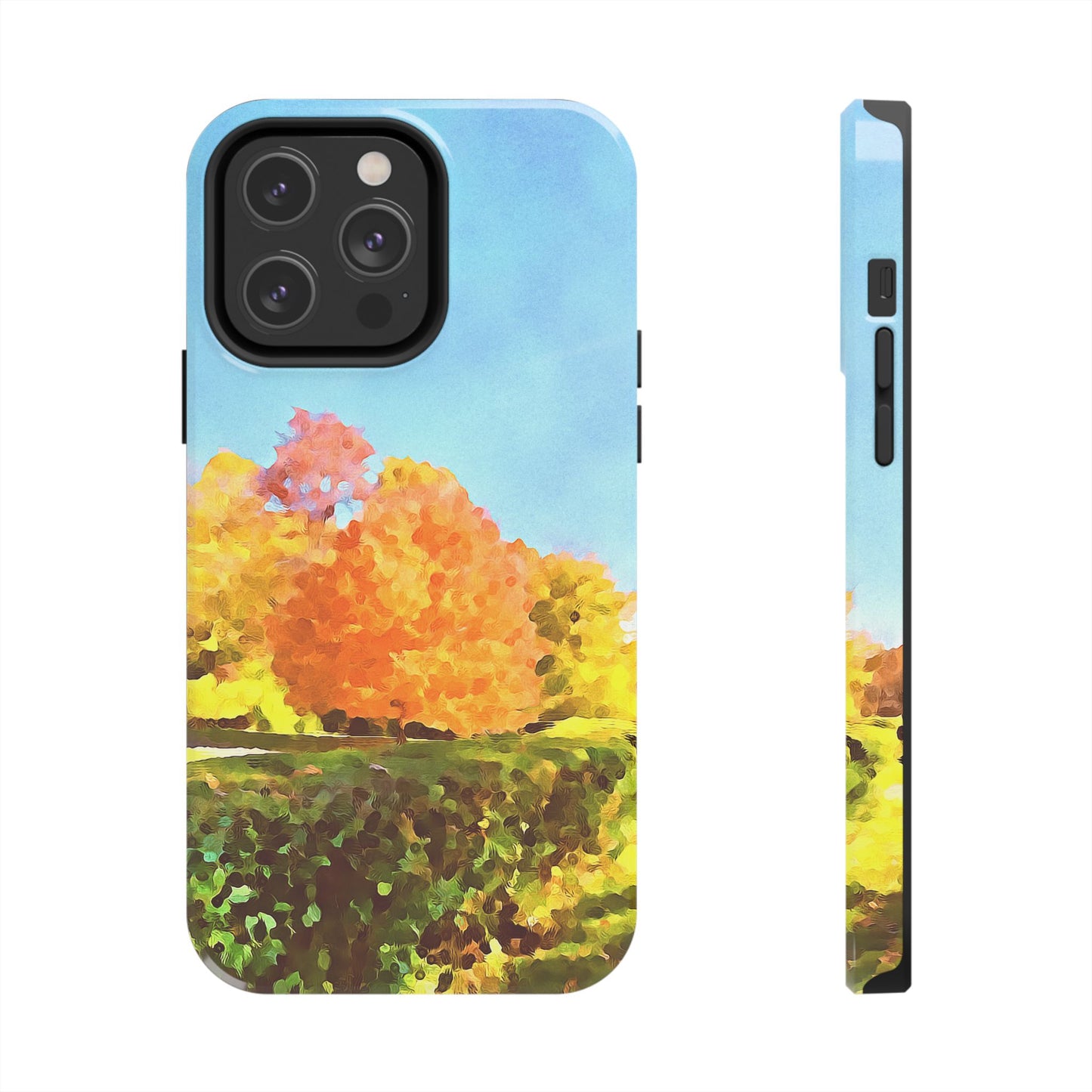 Custom Tough Phone Case for iPhone & Samsung From The Scenery Series at Intriguing Vistas