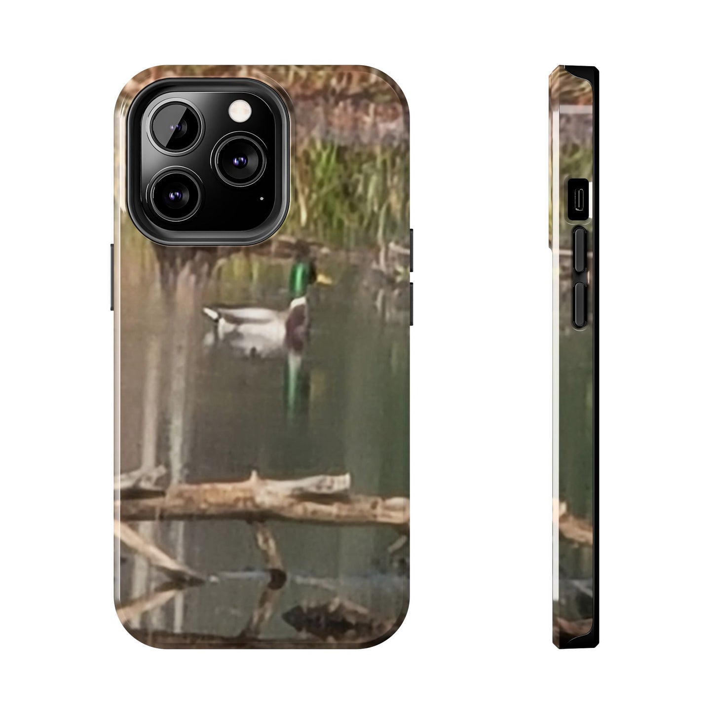 Custom Tough Phone Case for iPhone & Samsung From The Wildlife Series at Intriguing Vistas