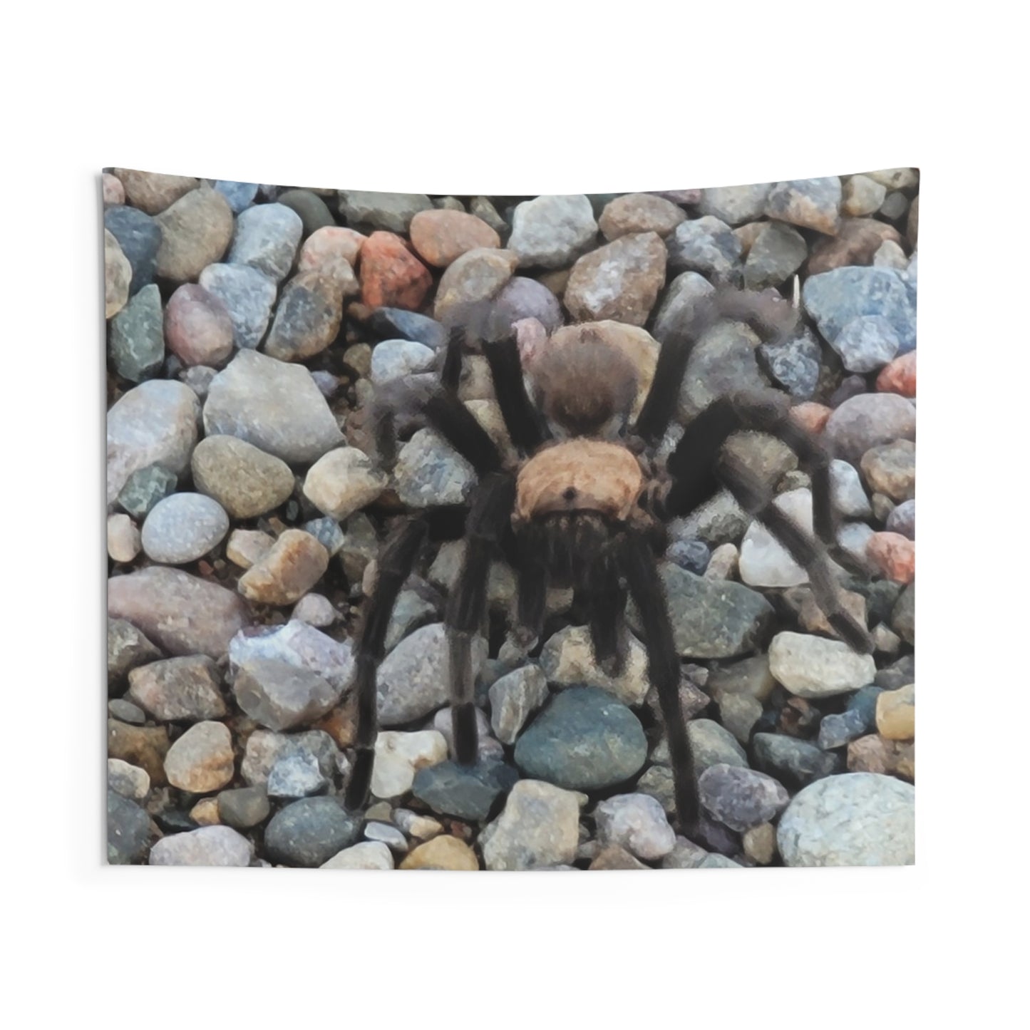 Custom Printed Wall Tapestry Available In Multiple Sizes From The Wildlife Series At Intriguing Vistas