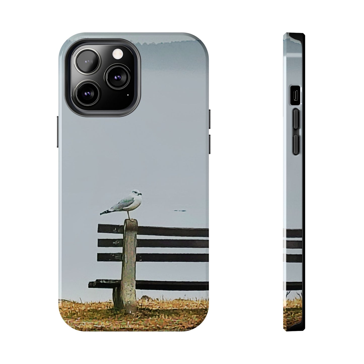 Custom Tough Phone Case for iPhone & Samsung From The Scenery Series at Intriguing Vistas
