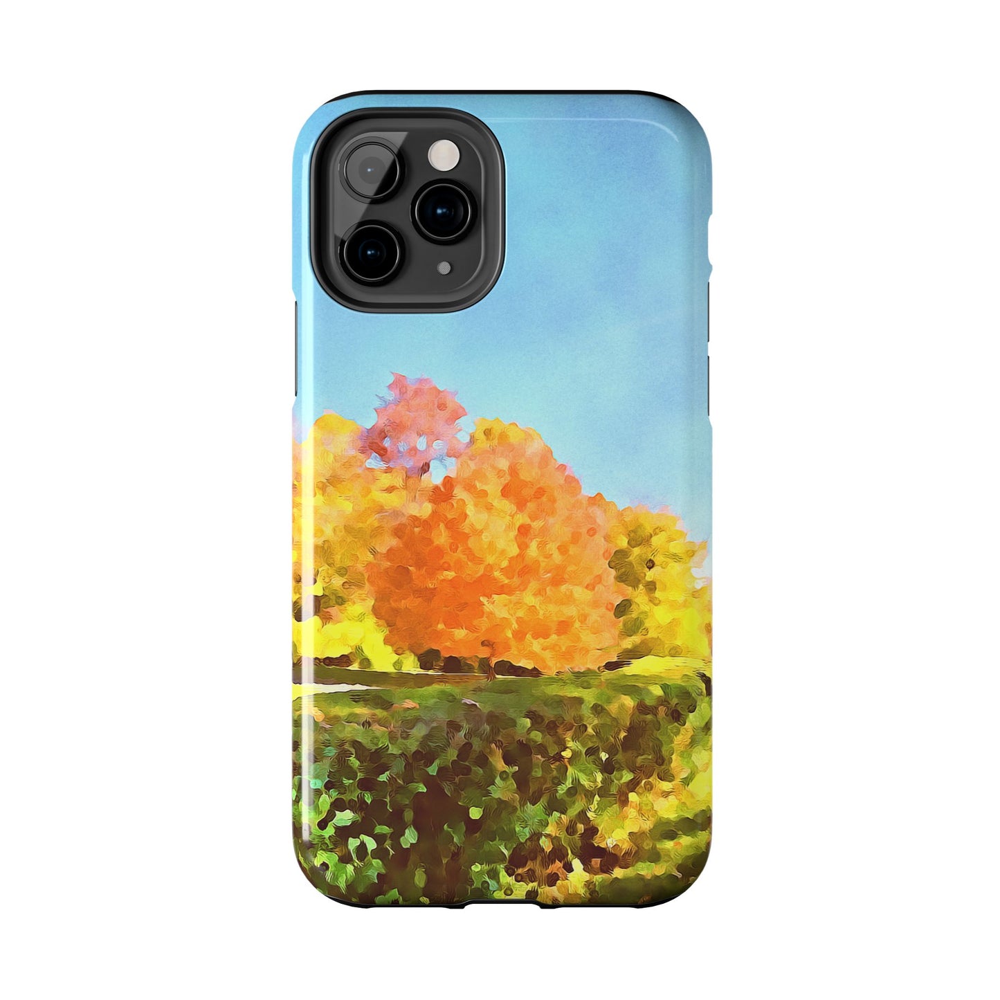 Custom Tough Phone Case for iPhone & Samsung From The Scenery Series at Intriguing Vistas