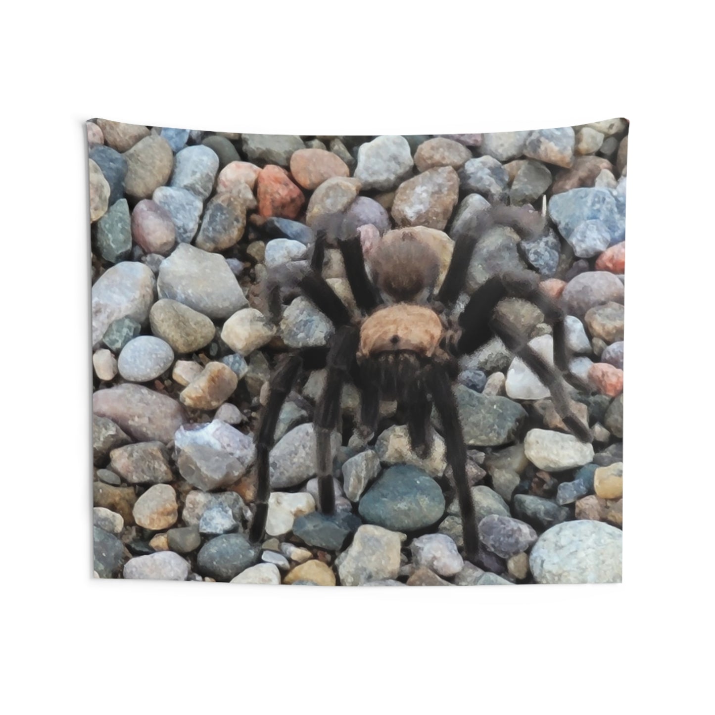 Custom Printed Wall Tapestry Available In Multiple Sizes From The Wildlife Series At Intriguing Vistas