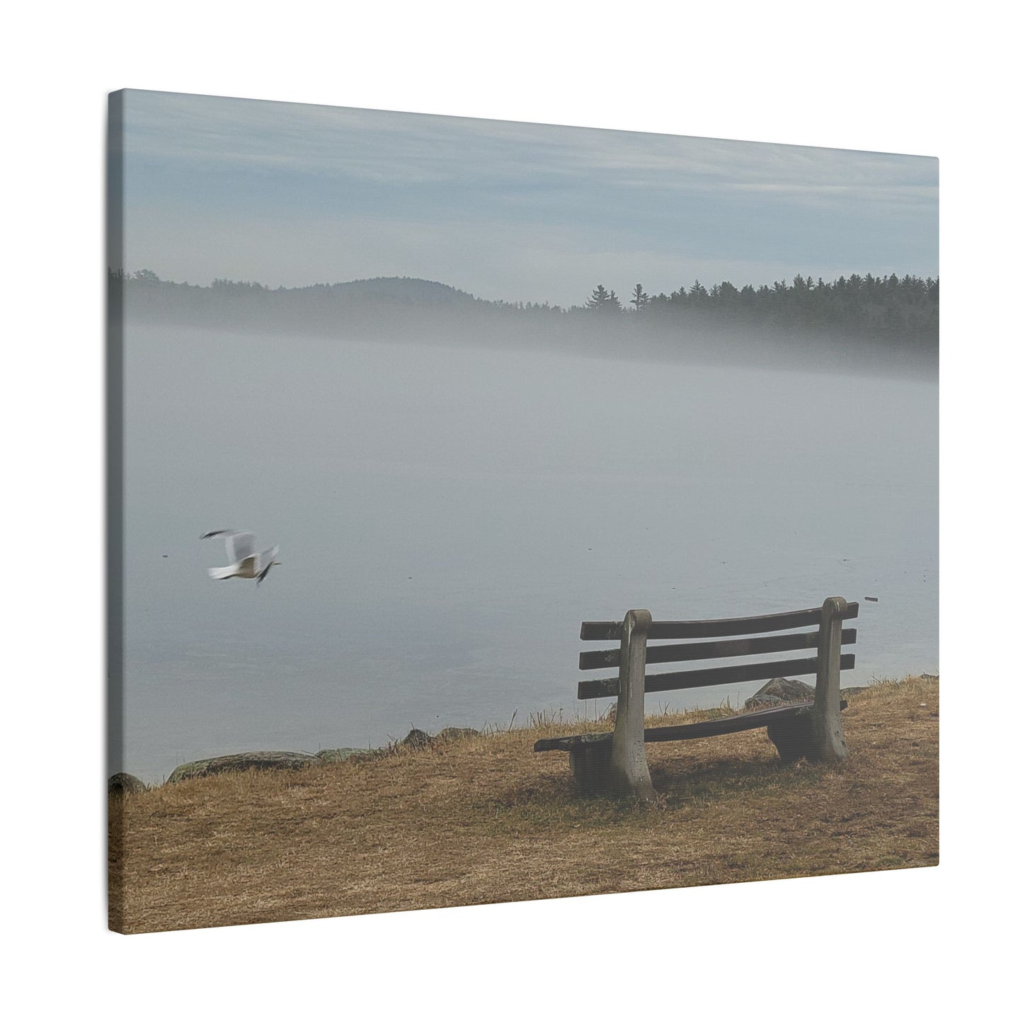 Canvas Print in Multiple Landscape Sizes from the Wildlife Series at Intriguing Vistas
