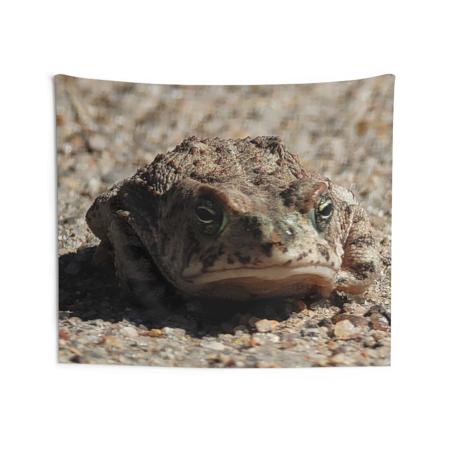 Custom Printed Wall Tapestry Available In Multiple Sizes From The Wildlife Series At Intriguing Vistas