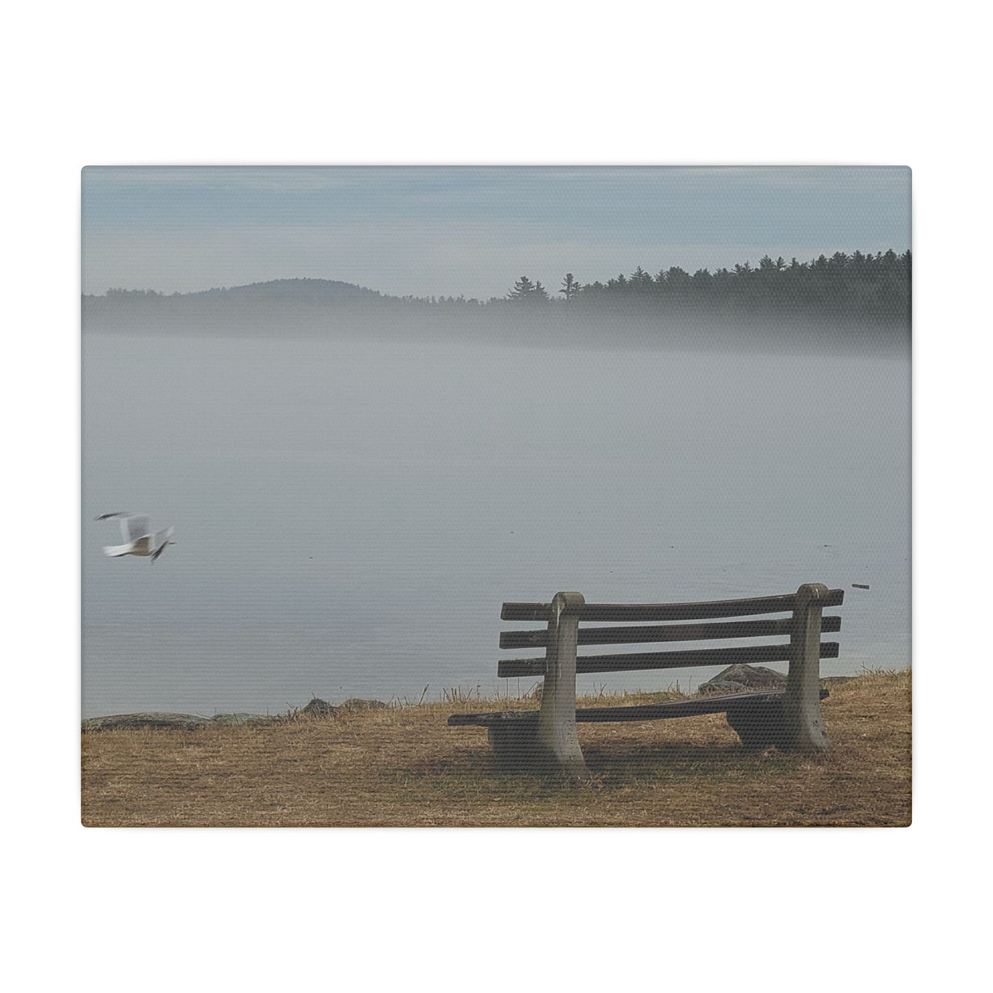 Canvas Print in Multiple Landscape Sizes from the Wildlife Series at Intriguing Vistas