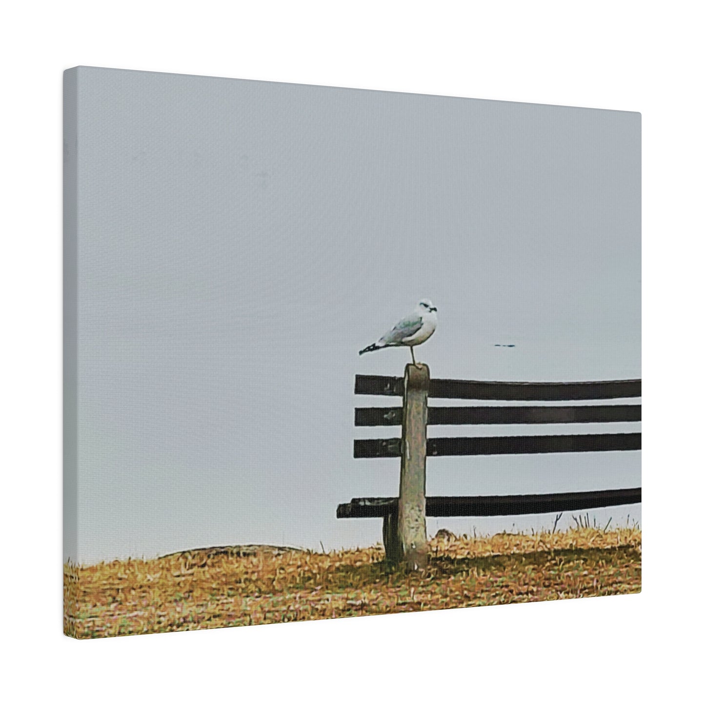Canvas Print in Multiple Landscape Sizes from the Wildlife Series at Intriguing Vistas