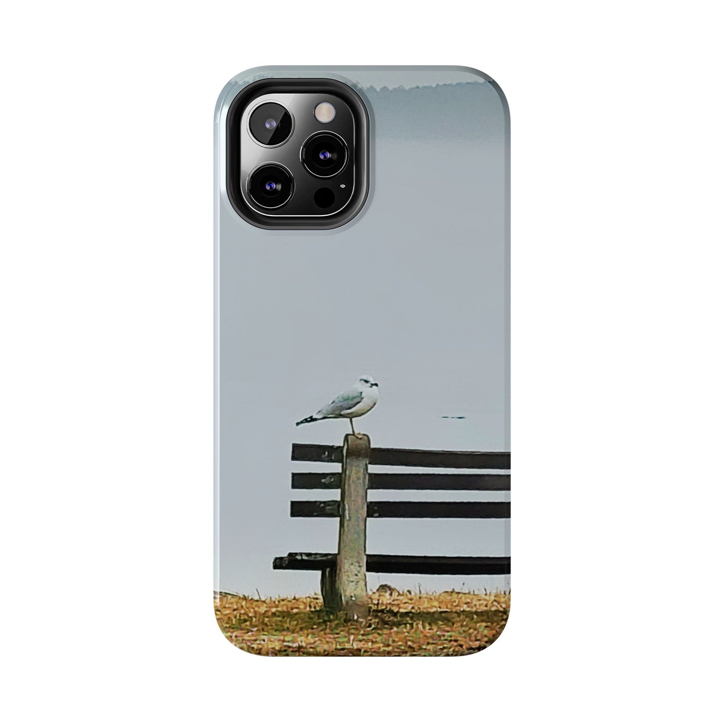 Custom Tough Phone Case for iPhone & Samsung From The Scenery Series at Intriguing Vistas