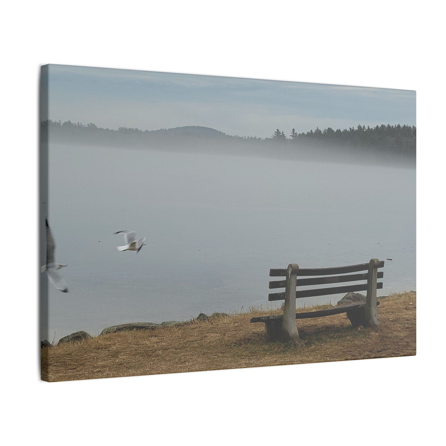 Canvas Print in Multiple Landscape Sizes from the Wildlife Series at Intriguing Vistas