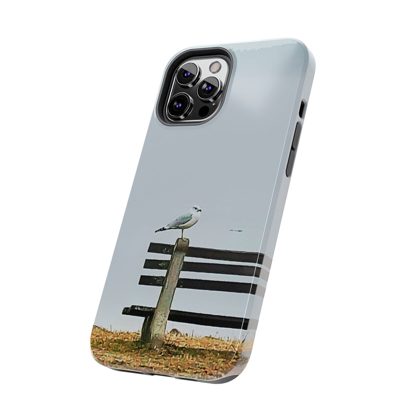 Custom Tough Phone Case for iPhone & Samsung From The Scenery Series at Intriguing Vistas