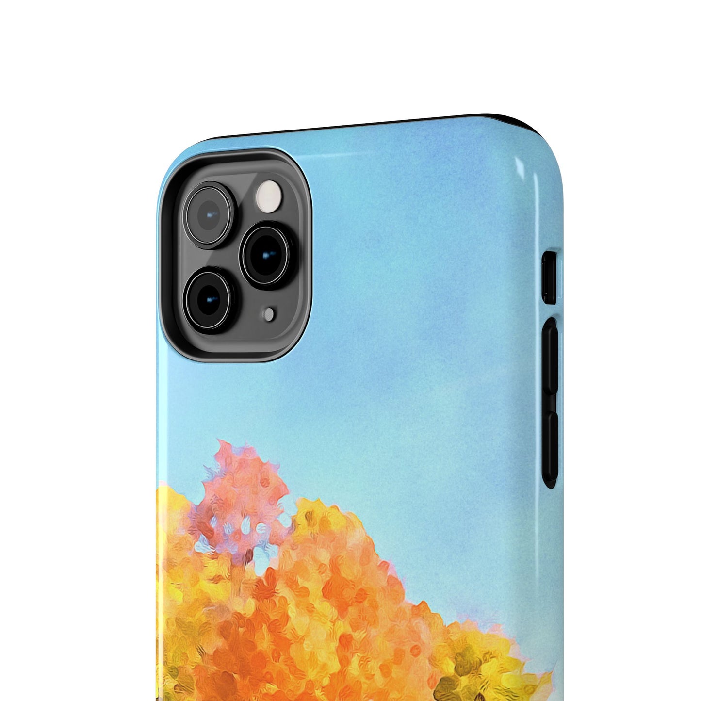 Custom Tough Phone Case for iPhone & Samsung From The Scenery Series at Intriguing Vistas