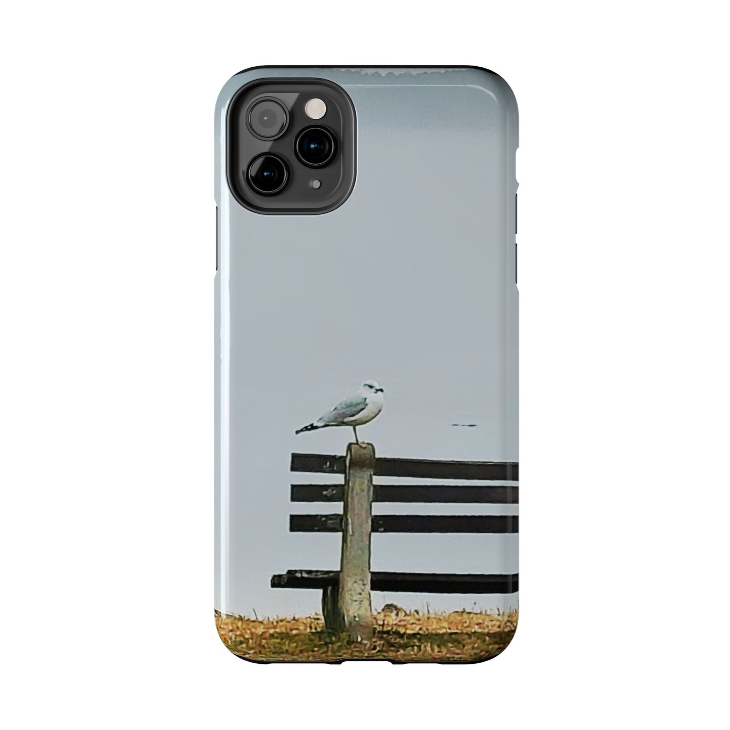 Custom Tough Phone Case for iPhone & Samsung From The Scenery Series at Intriguing Vistas