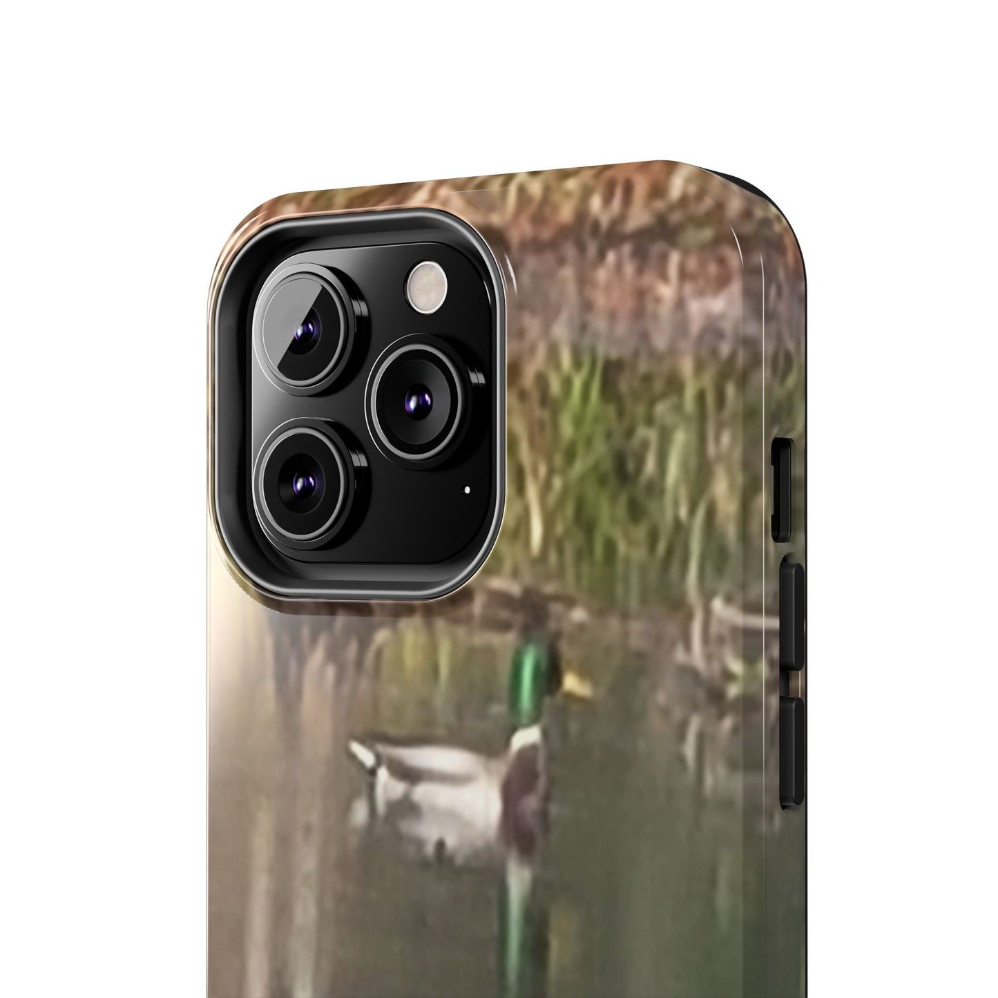 Custom Tough Phone Case for iPhone & Samsung From The Wildlife Series at Intriguing Vistas