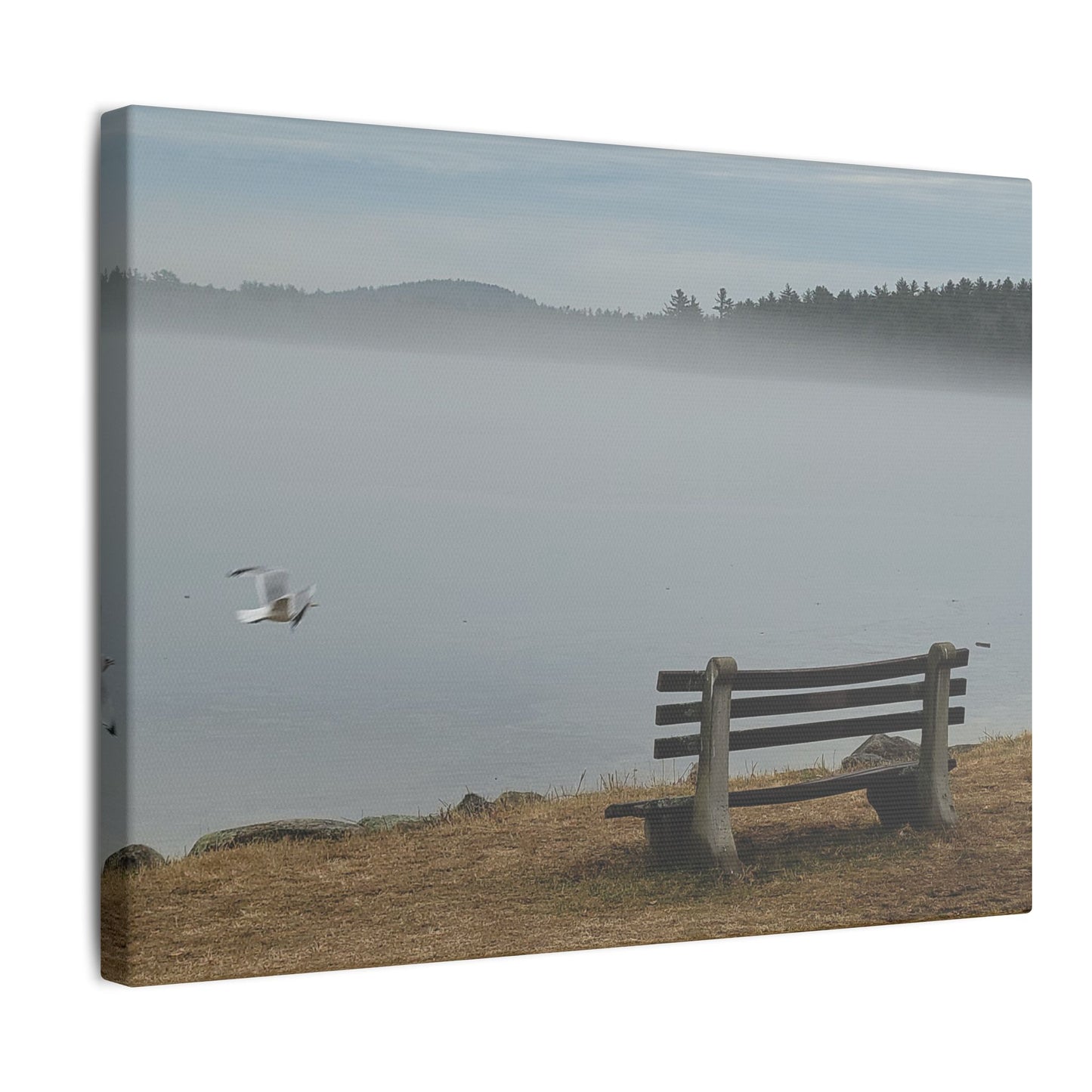 Canvas Print in Multiple Landscape Sizes from the Wildlife Series at Intriguing Vistas