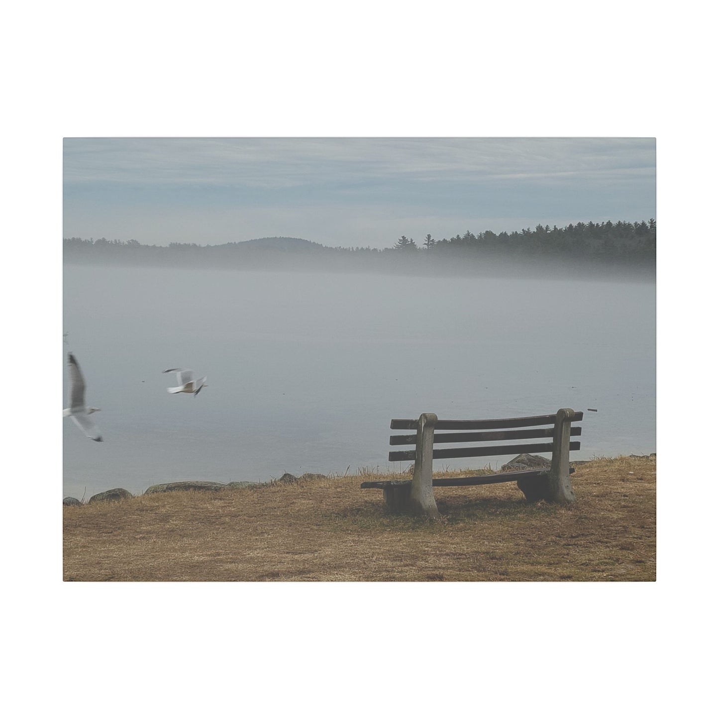 Canvas Print in Multiple Landscape Sizes from the Wildlife Series at Intriguing Vistas