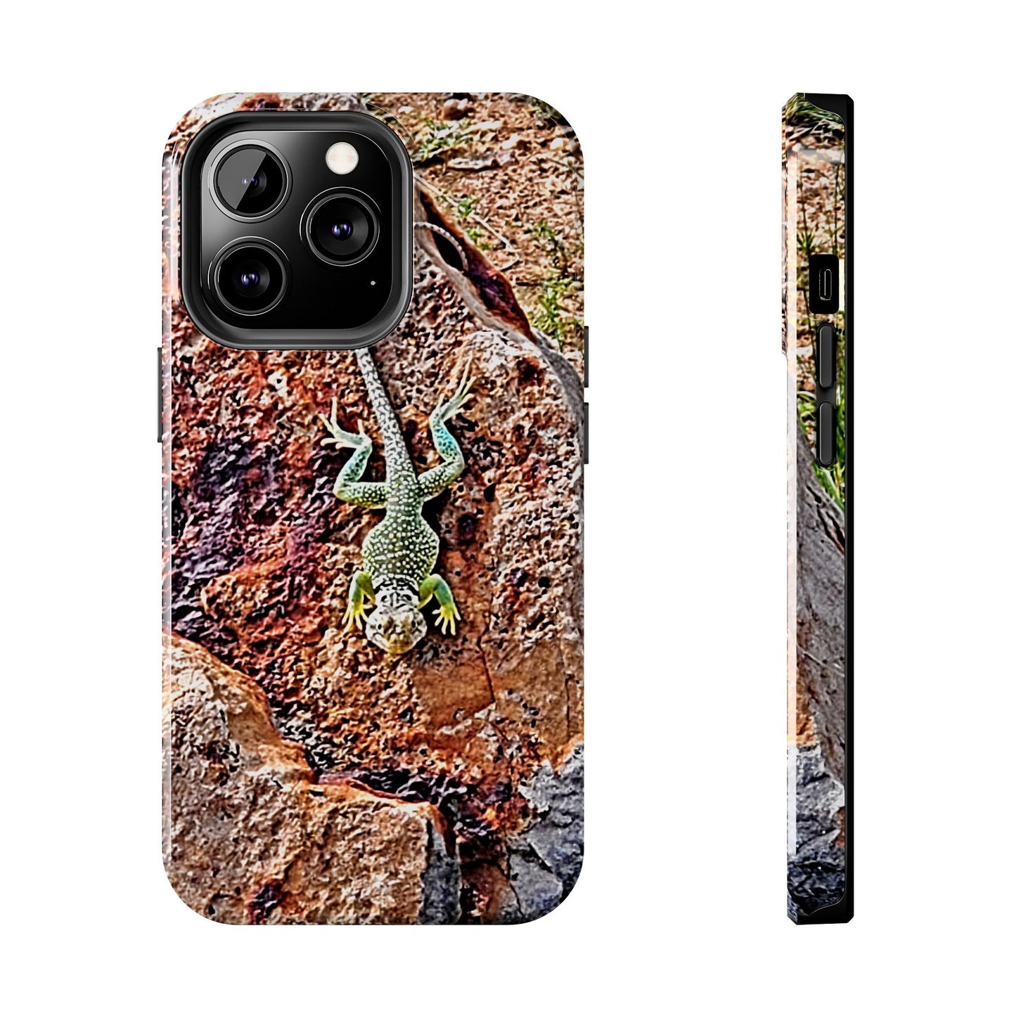Custom Tough Phone Case for iPhone & Samsung From The Wildlife Series at Intriguing Vistas