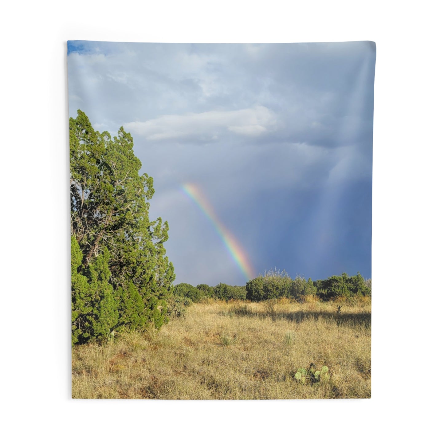 Custom Printed Wall Tapestry Available In Multiple Sizes From The Rainbow Series At Intriguing Vistas