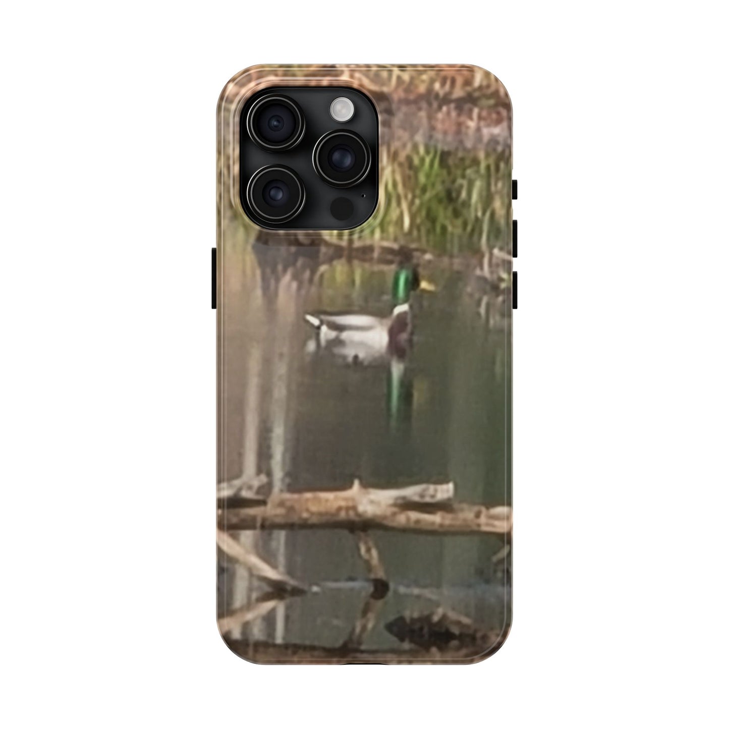 Custom Tough Phone Case for iPhone & Samsung From The Wildlife Series at Intriguing Vistas