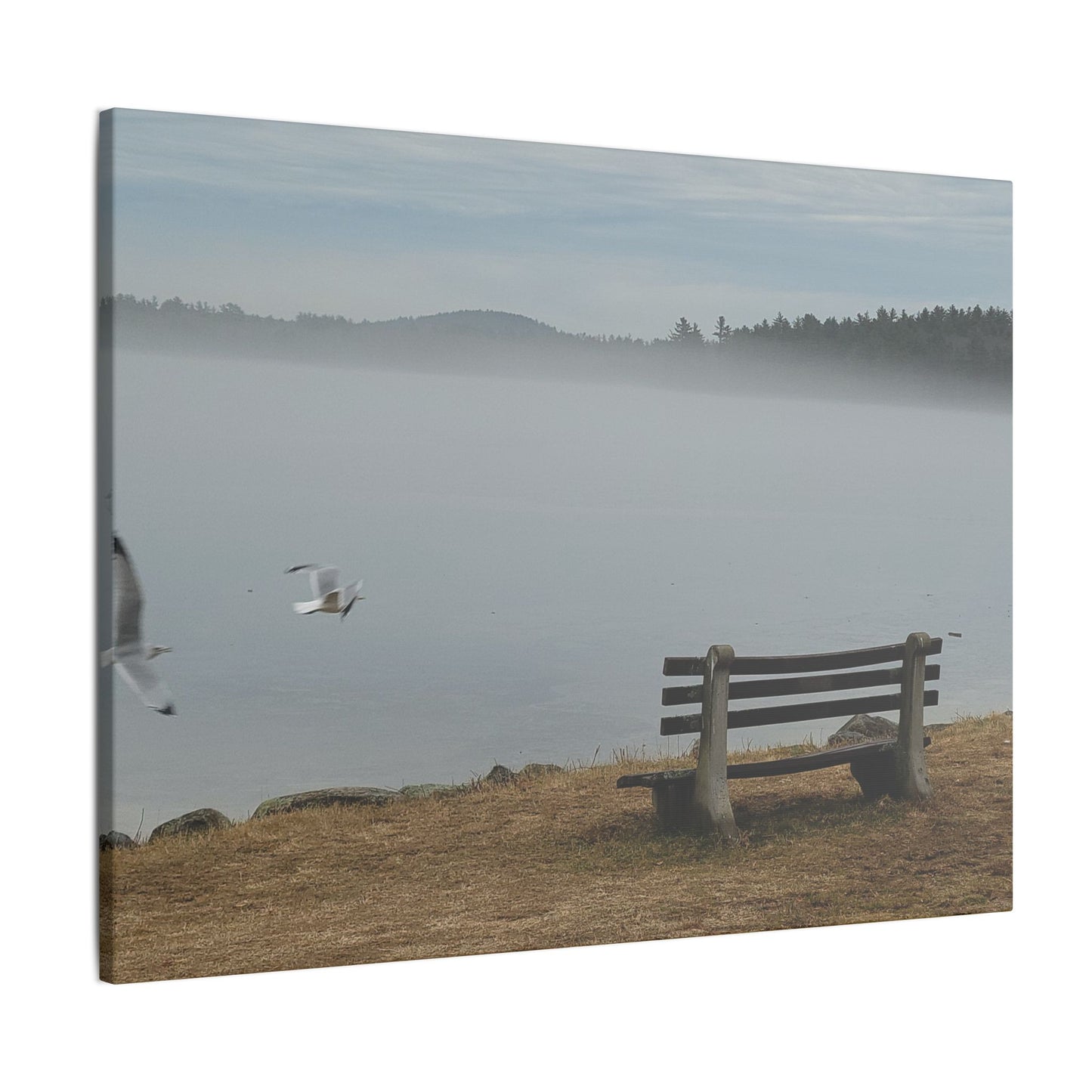 Canvas Print in Multiple Landscape Sizes from the Wildlife Series at Intriguing Vistas