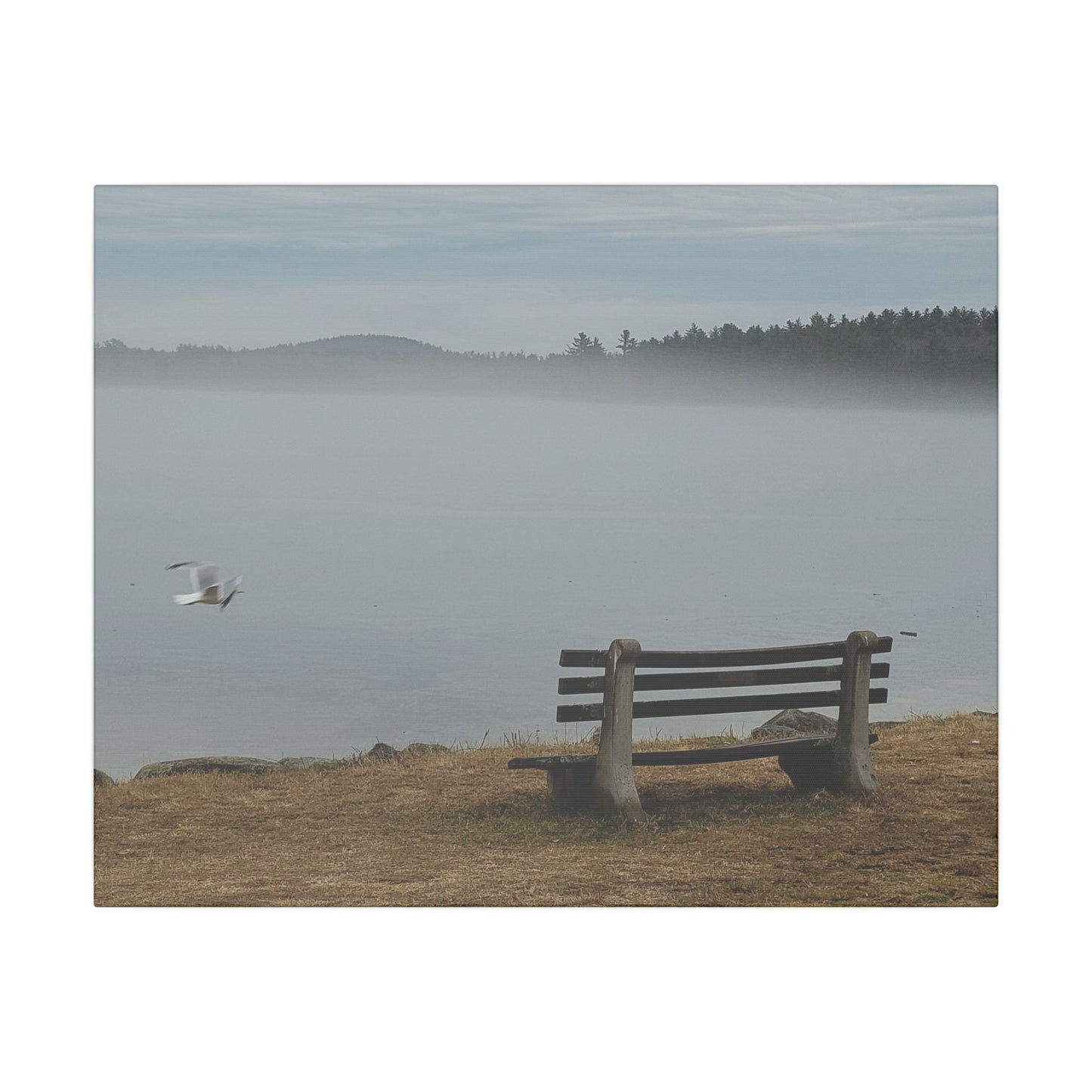 Canvas Print in Multiple Landscape Sizes from the Wildlife Series at Intriguing Vistas