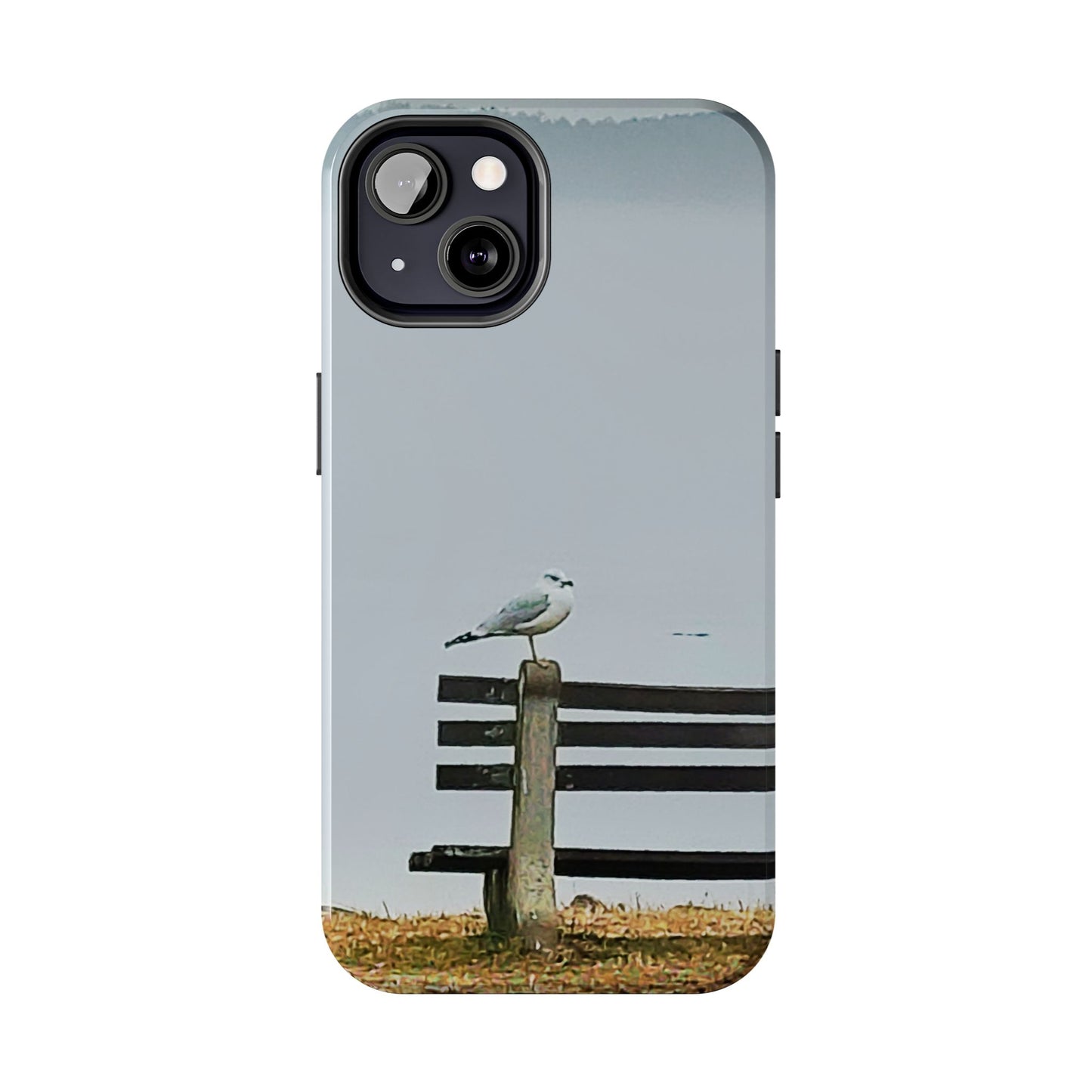 Custom Tough Phone Case for iPhone & Samsung From The Scenery Series at Intriguing Vistas