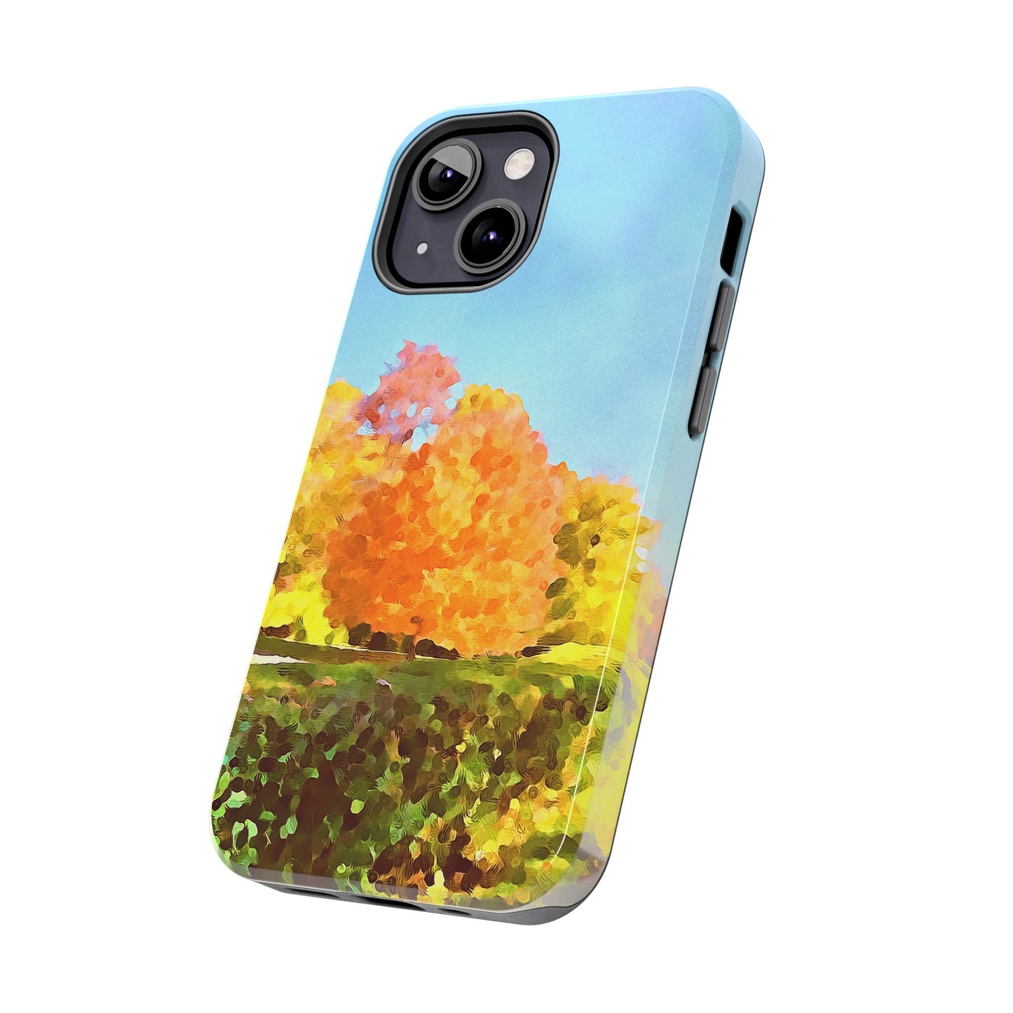 Custom Tough Phone Case for iPhone & Samsung From The Scenery Series at Intriguing Vistas