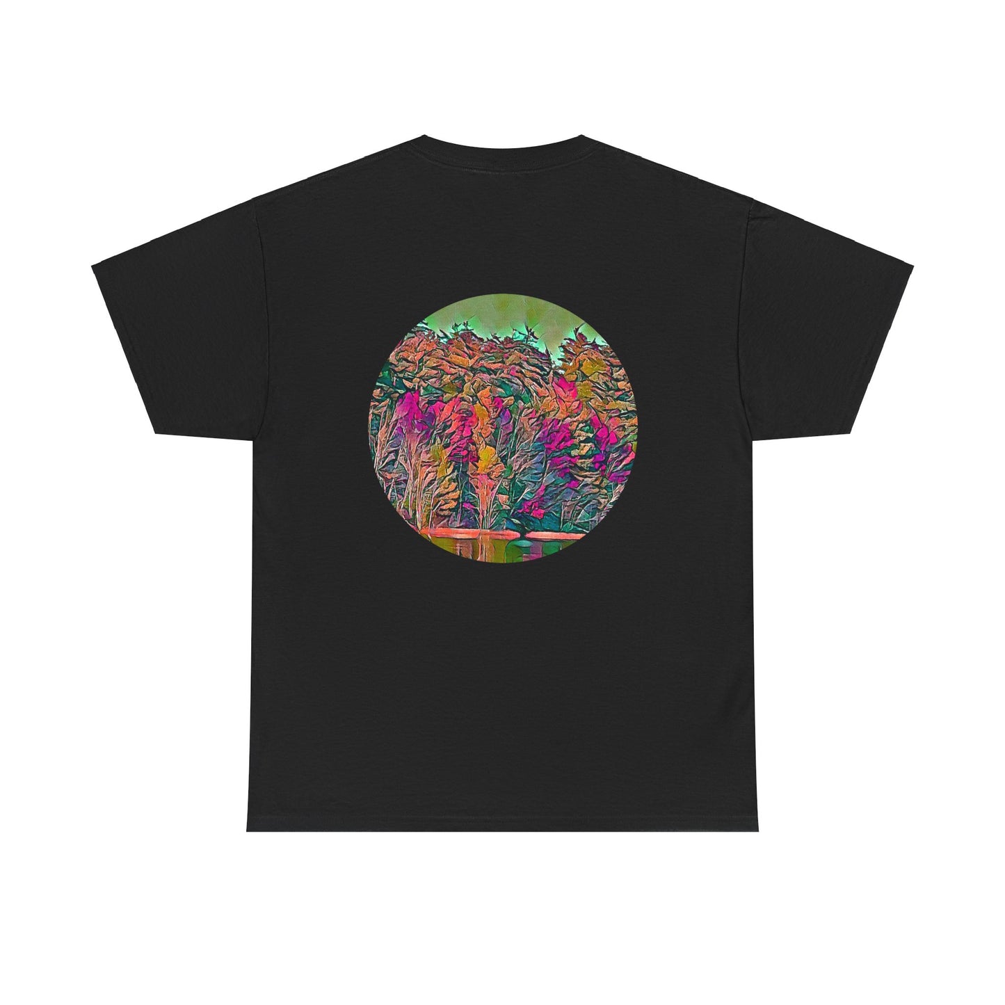 Gildan 5000 Unisex Adult Heavy Cotton Tee Available In Multiple Colors from the Scenery Series at Intriguing Vistas