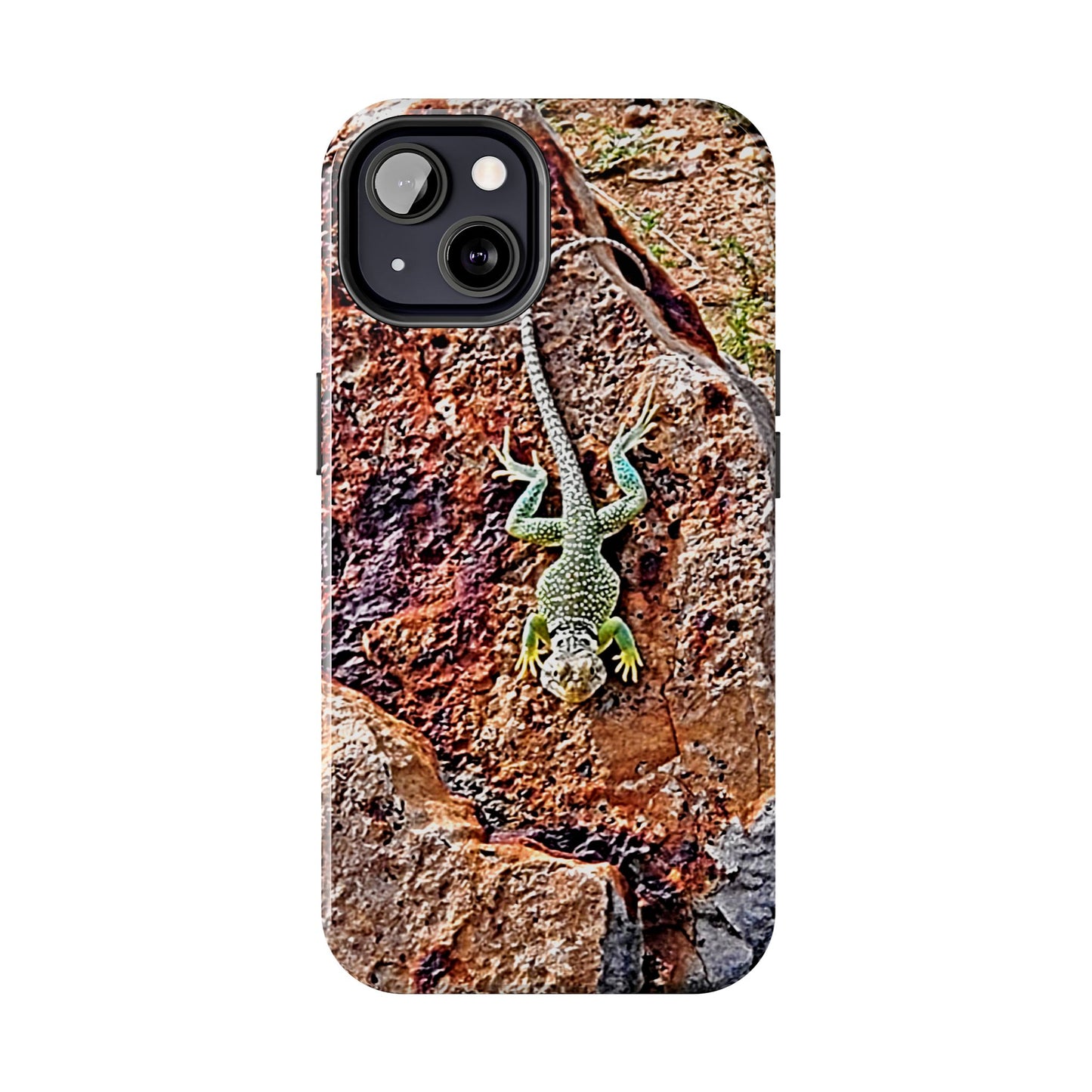 Custom Tough Phone Case for iPhone & Samsung From The Wildlife Series at Intriguing Vistas